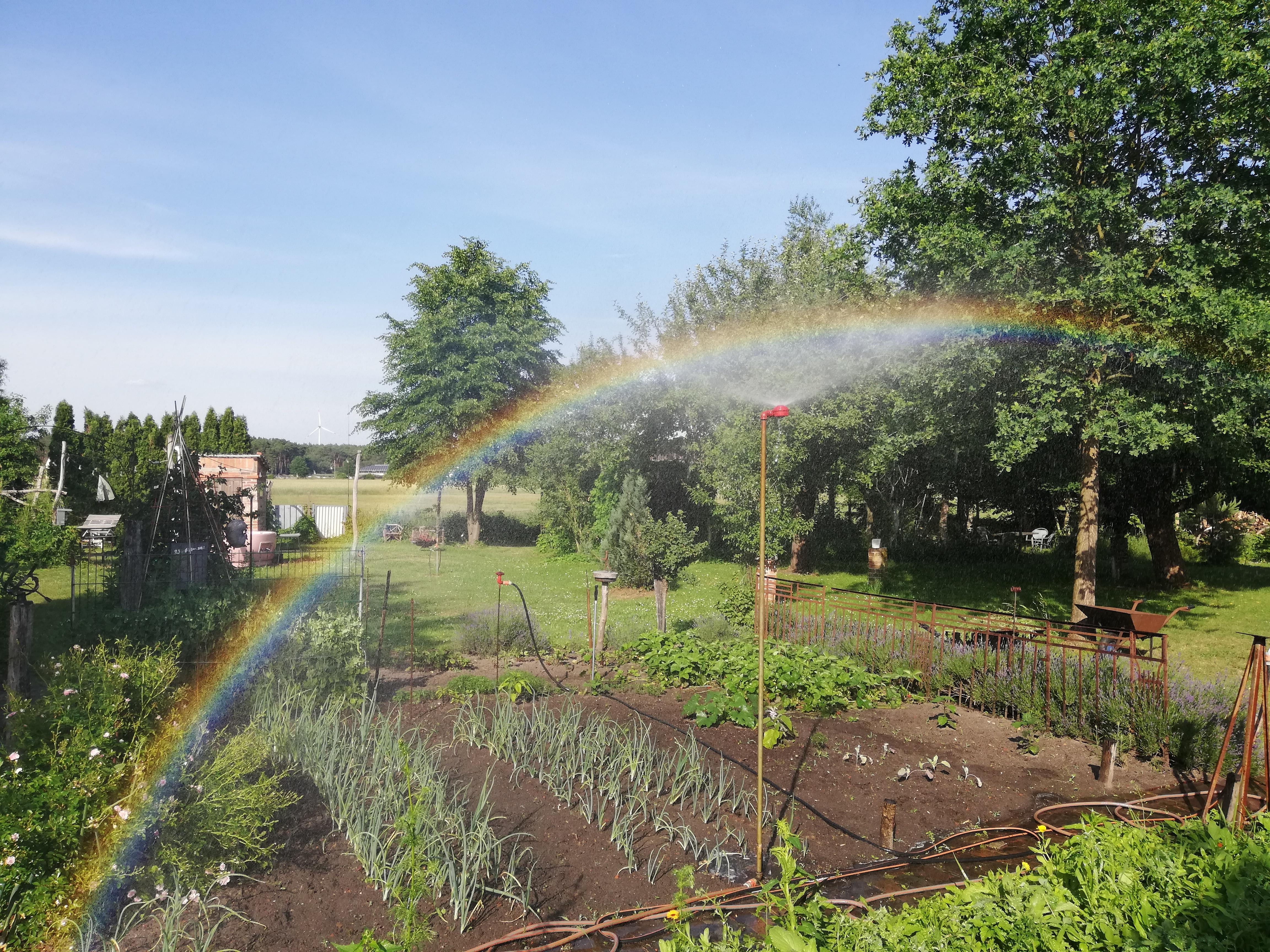 #Summer #garden #rainbow 