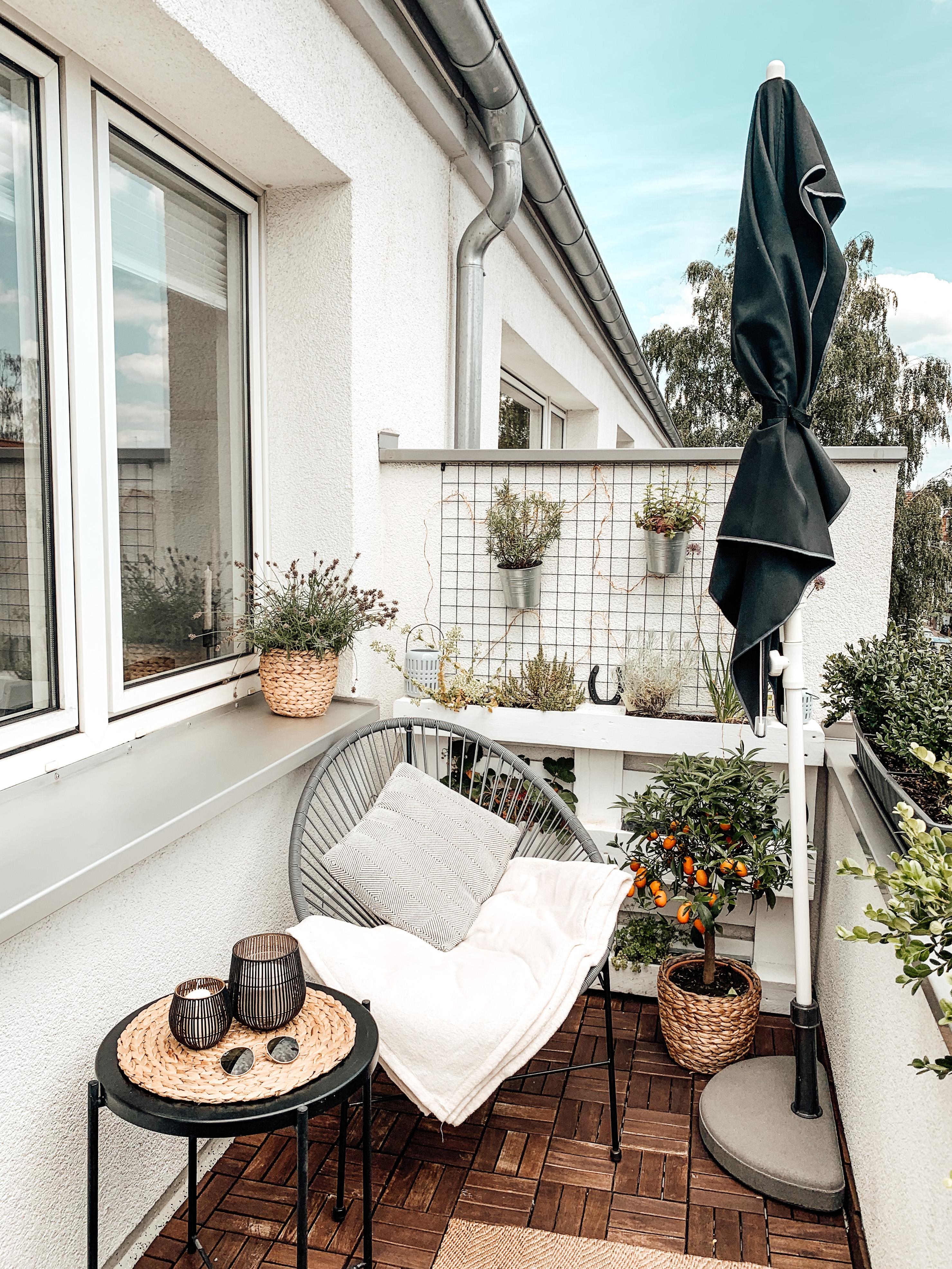 Summervibes! #balkon #sommerliebe #sonnenschein #outdoor 