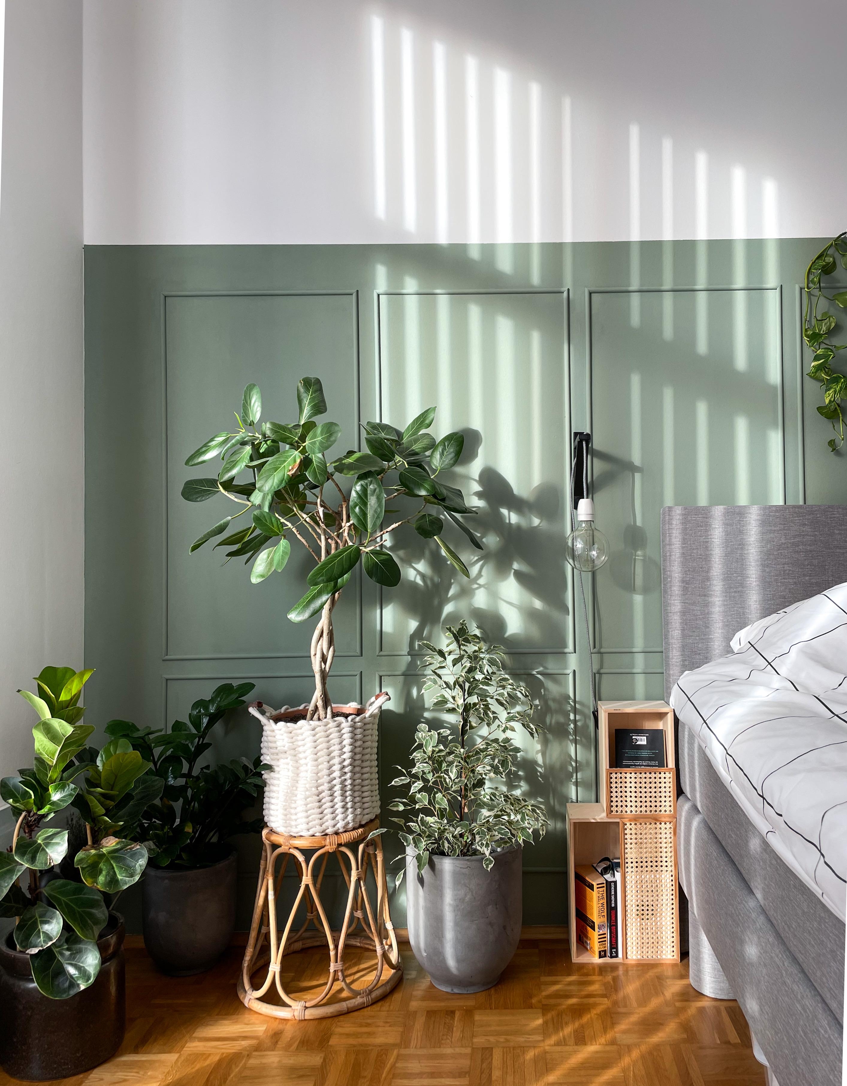 Sun and stripes

#Schlafzimmer #Bett #Sonnenlicht #Grün #Pflanzen #Plantparty #greenliving 