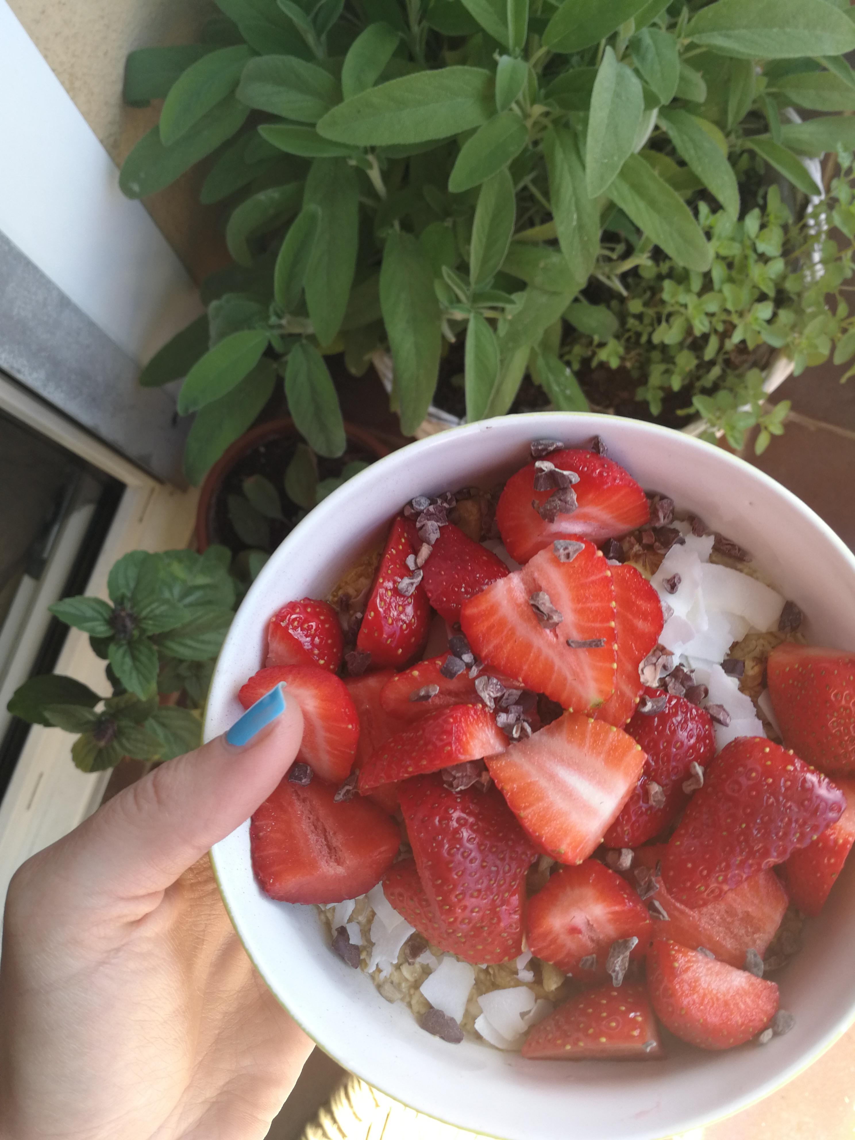 Sunday Mornings 🦄

#balkonliebe #grün #pflanzen #kräuter #erdbeeren #sommer #frühling