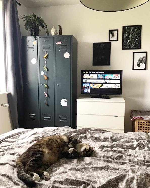 Sundays are for bed and Netflix. And cats. #sunday #home #bed