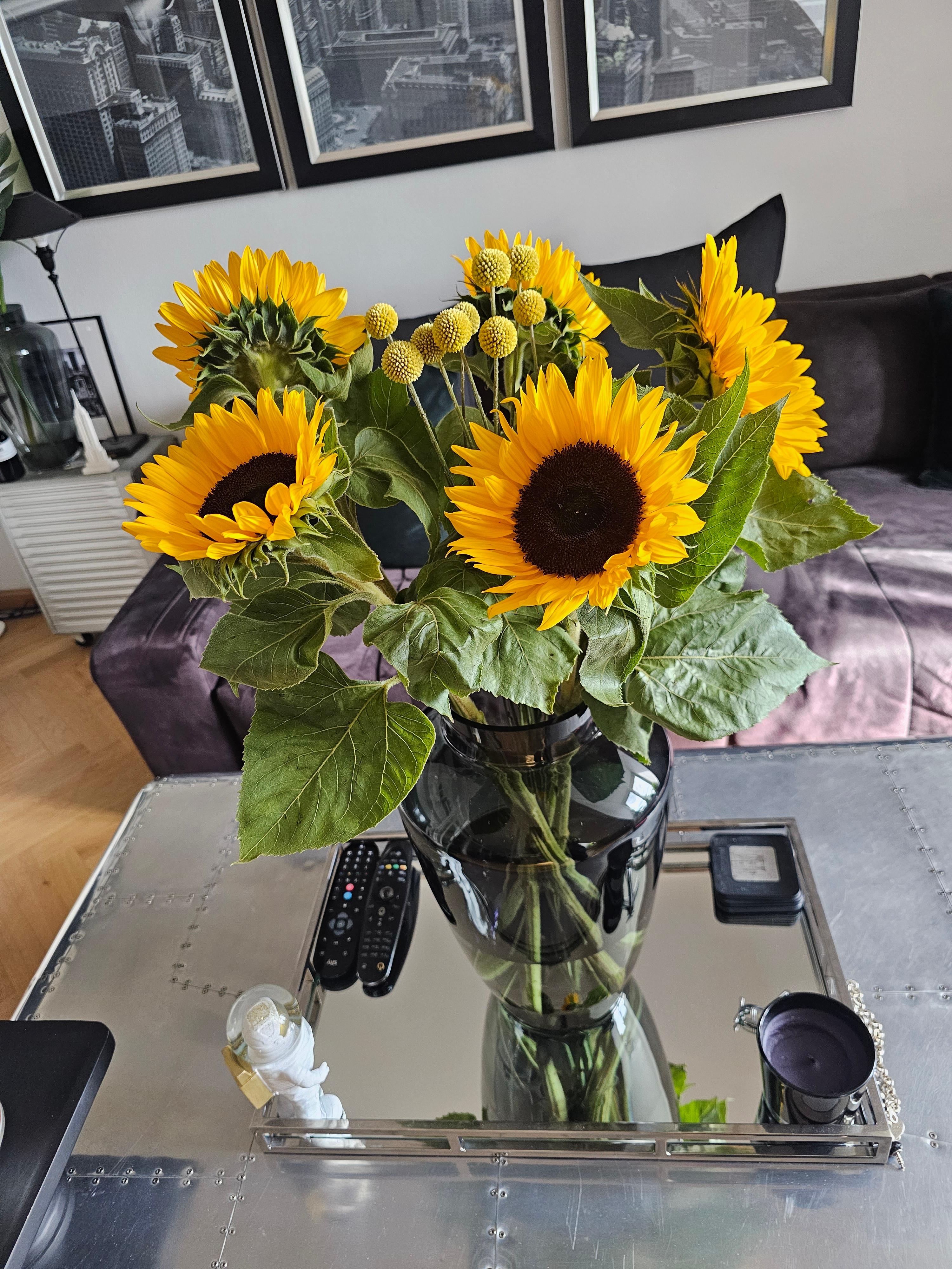#Sunflowers 
#sonnenblume 