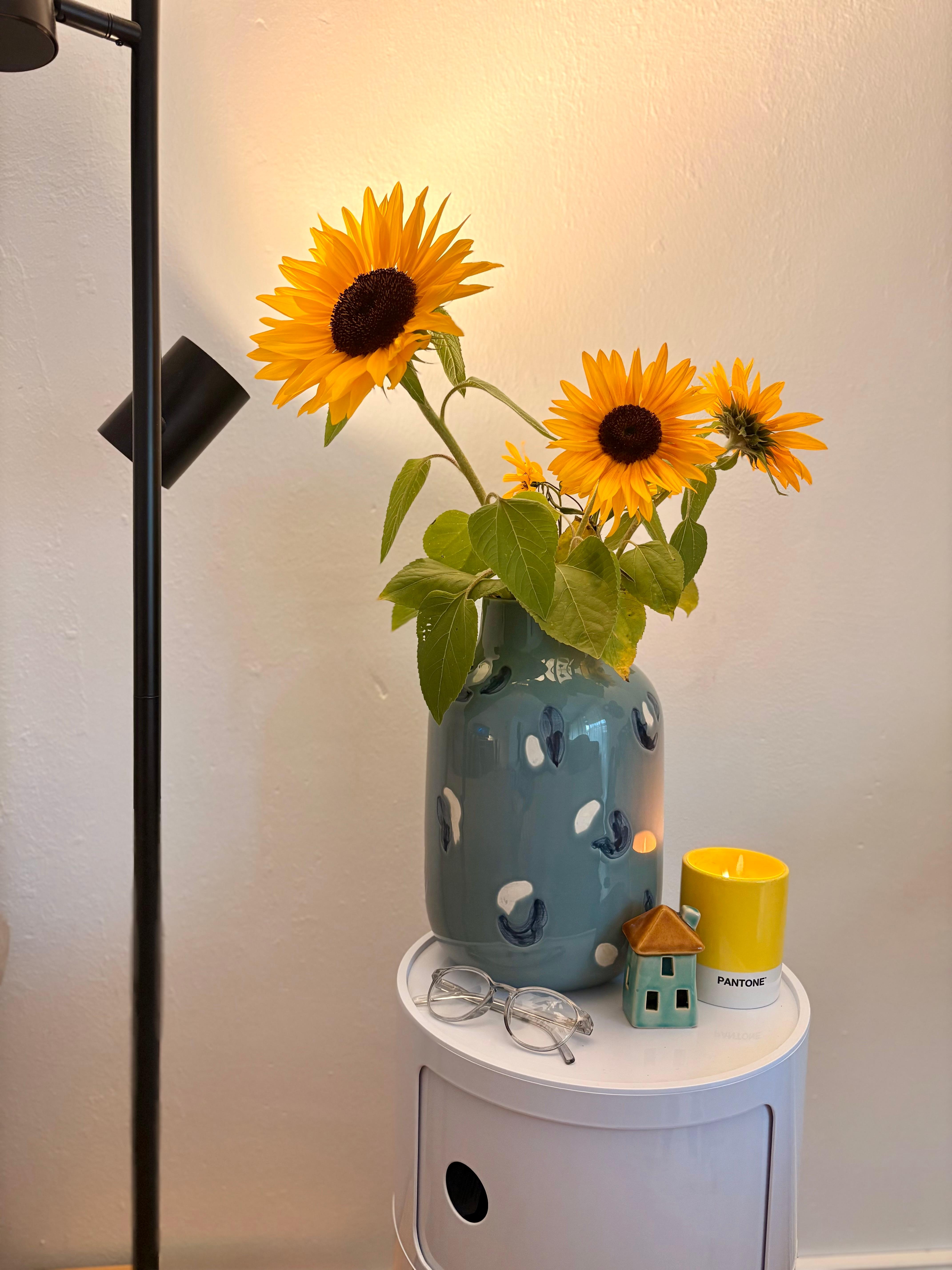 #sunfowers #motelmio #Pantone #kartelldesign