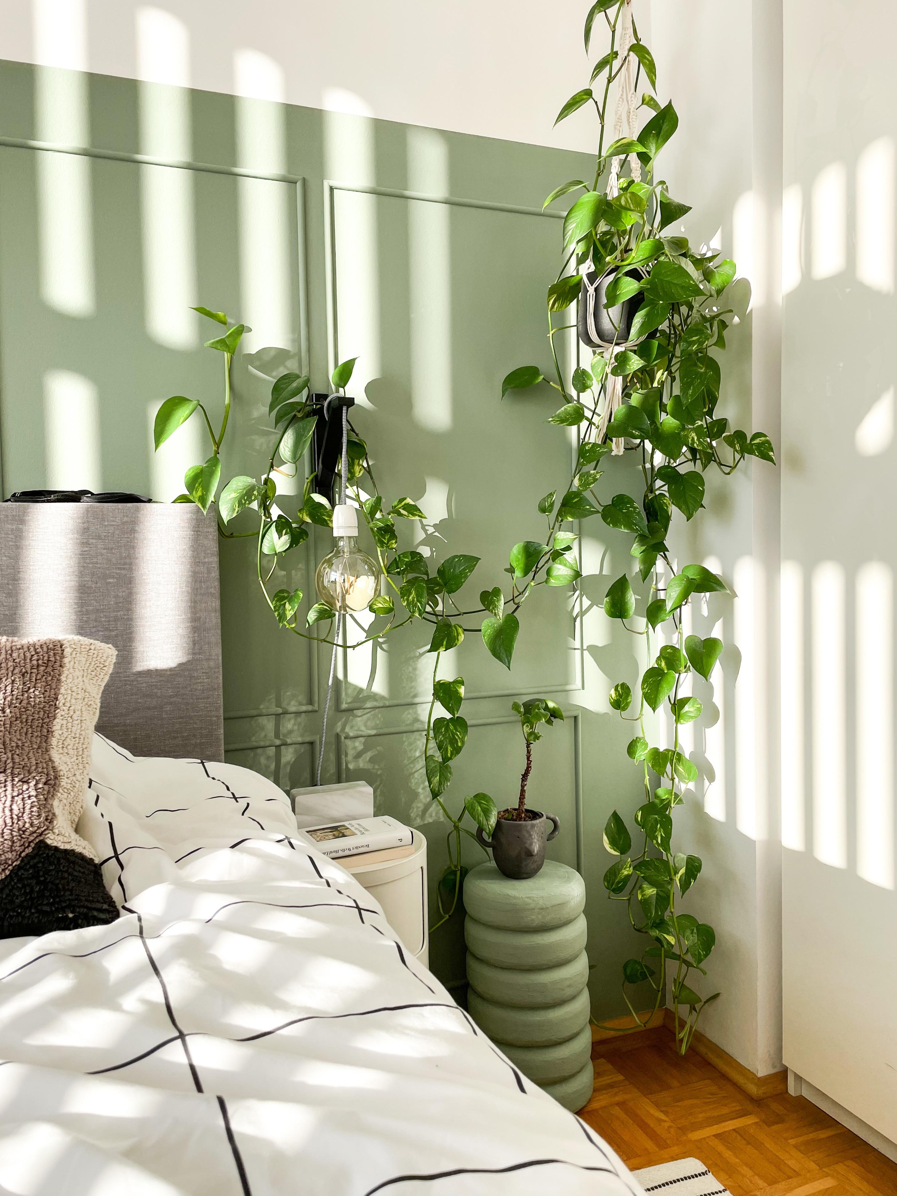 Sunkissed ...

#Schlafzimmer #Pflanzen #Bett #Sonnenstrahlen #urbanjungle