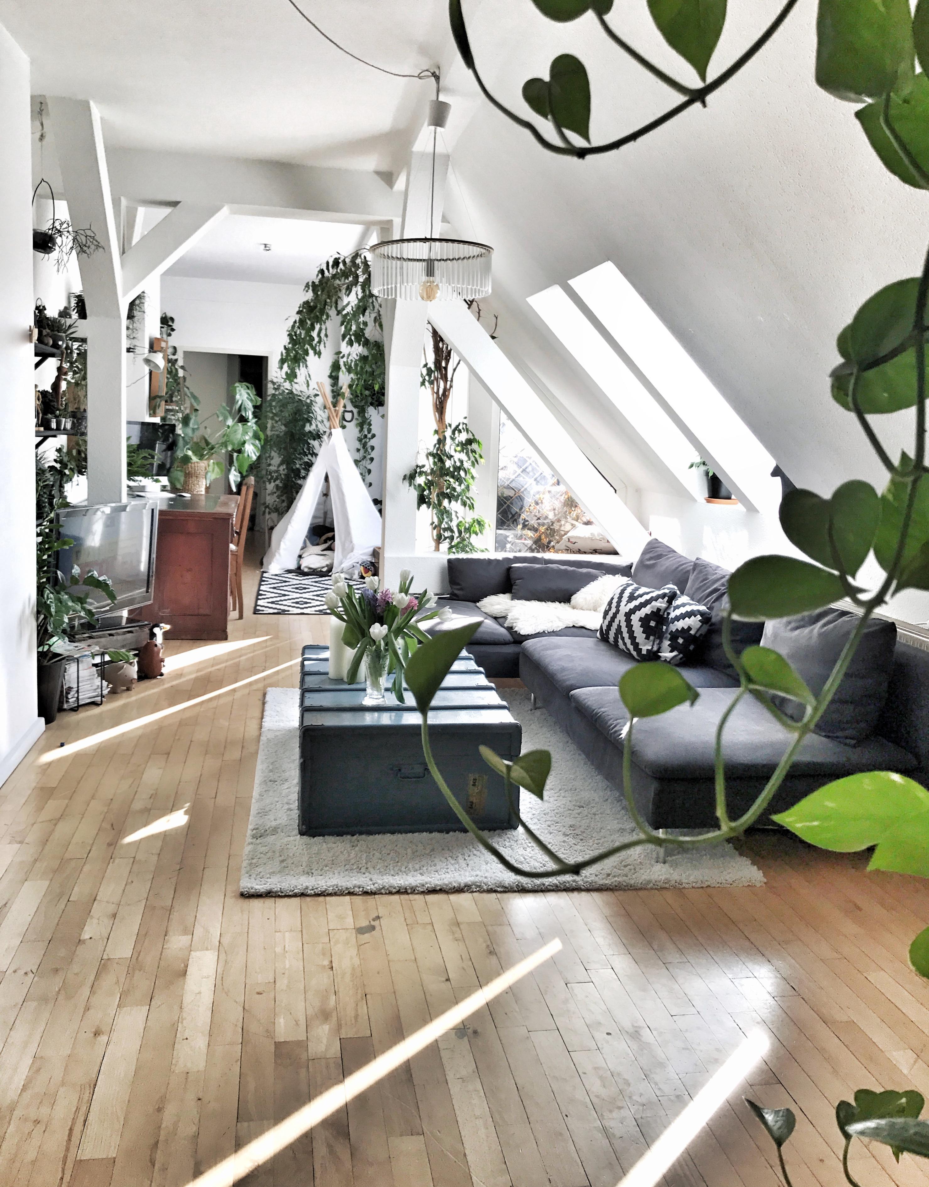 #sunlight #livingroom #wohnzimmer #mgeräumt 