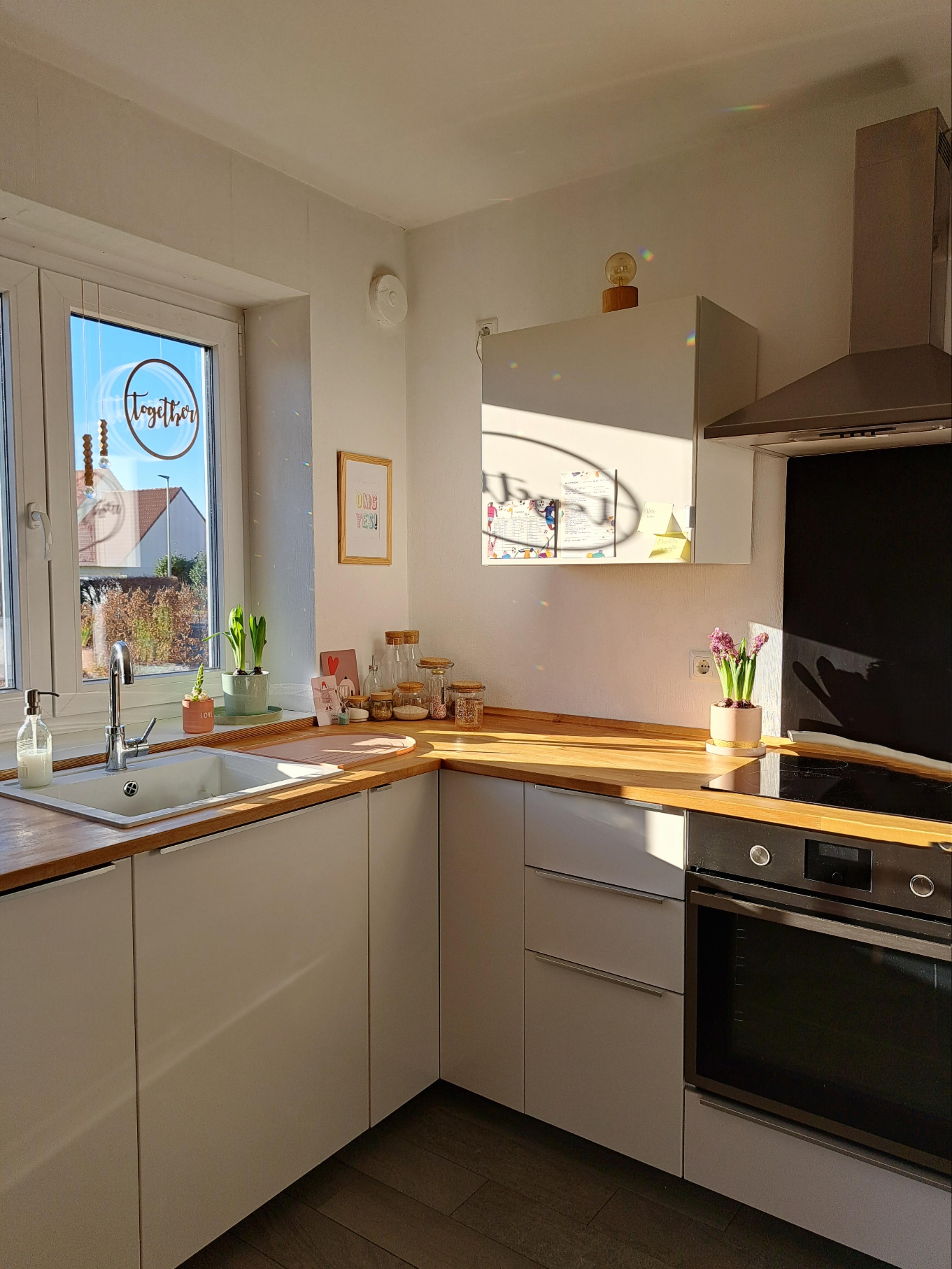 Sunny kitchen
#sonne #küche