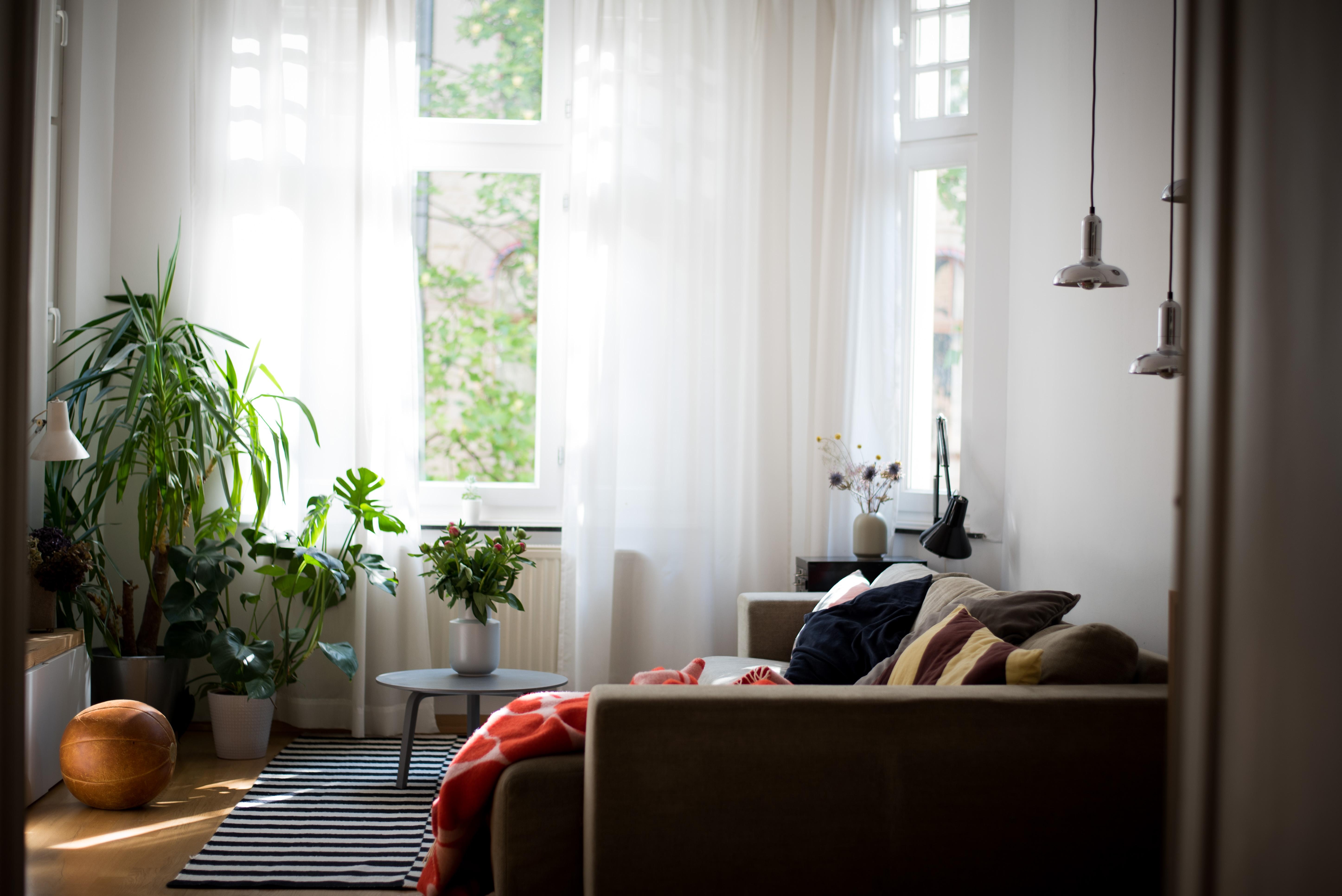 Sunny morning! #wohnzimmer #pflanzen #sofa #interior #altbau #interiorinspo #vintage #slowliving