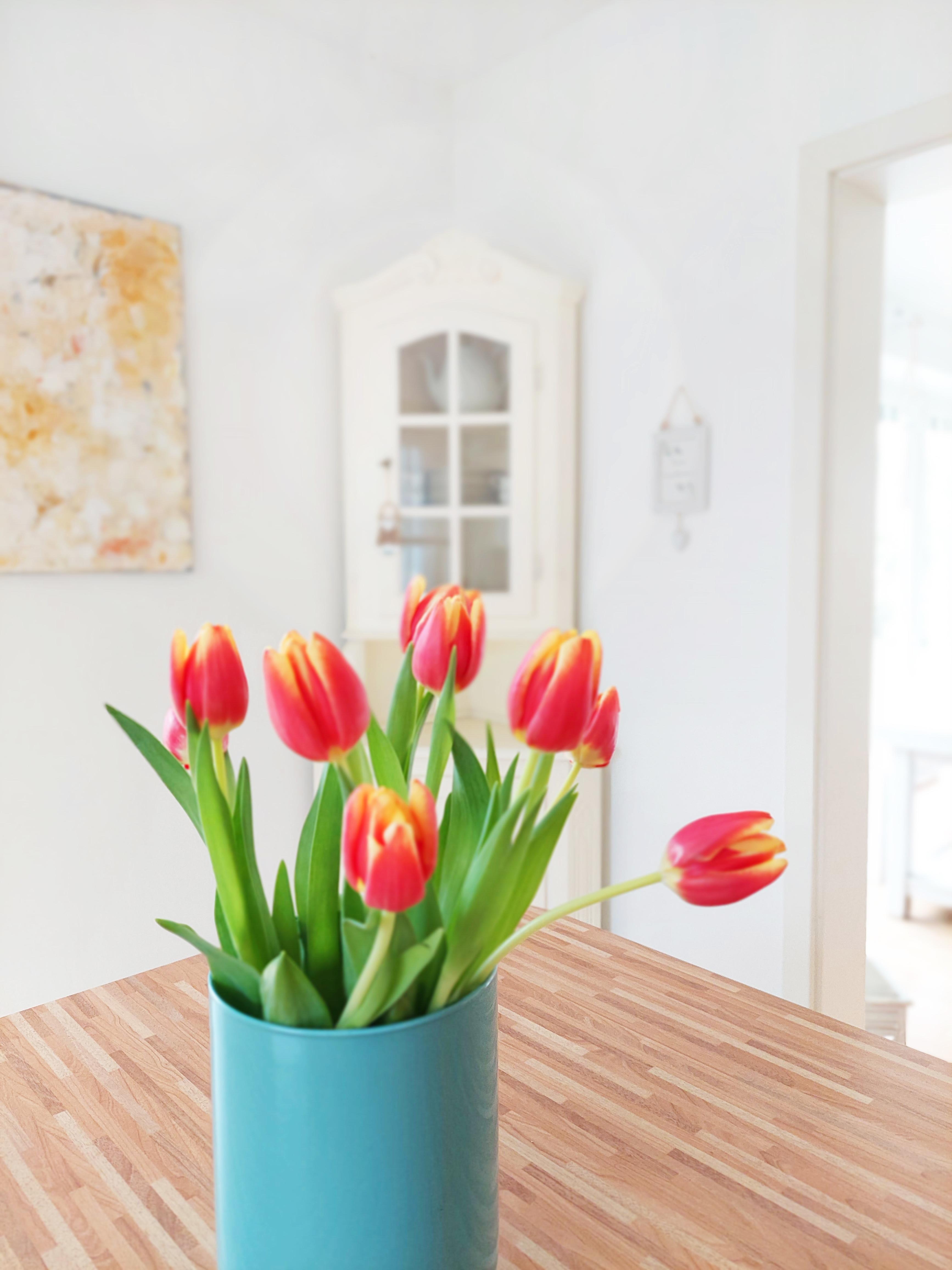 T u l p e n ♡
#tulpen #blumen #küche #einrichtung #wandbild
