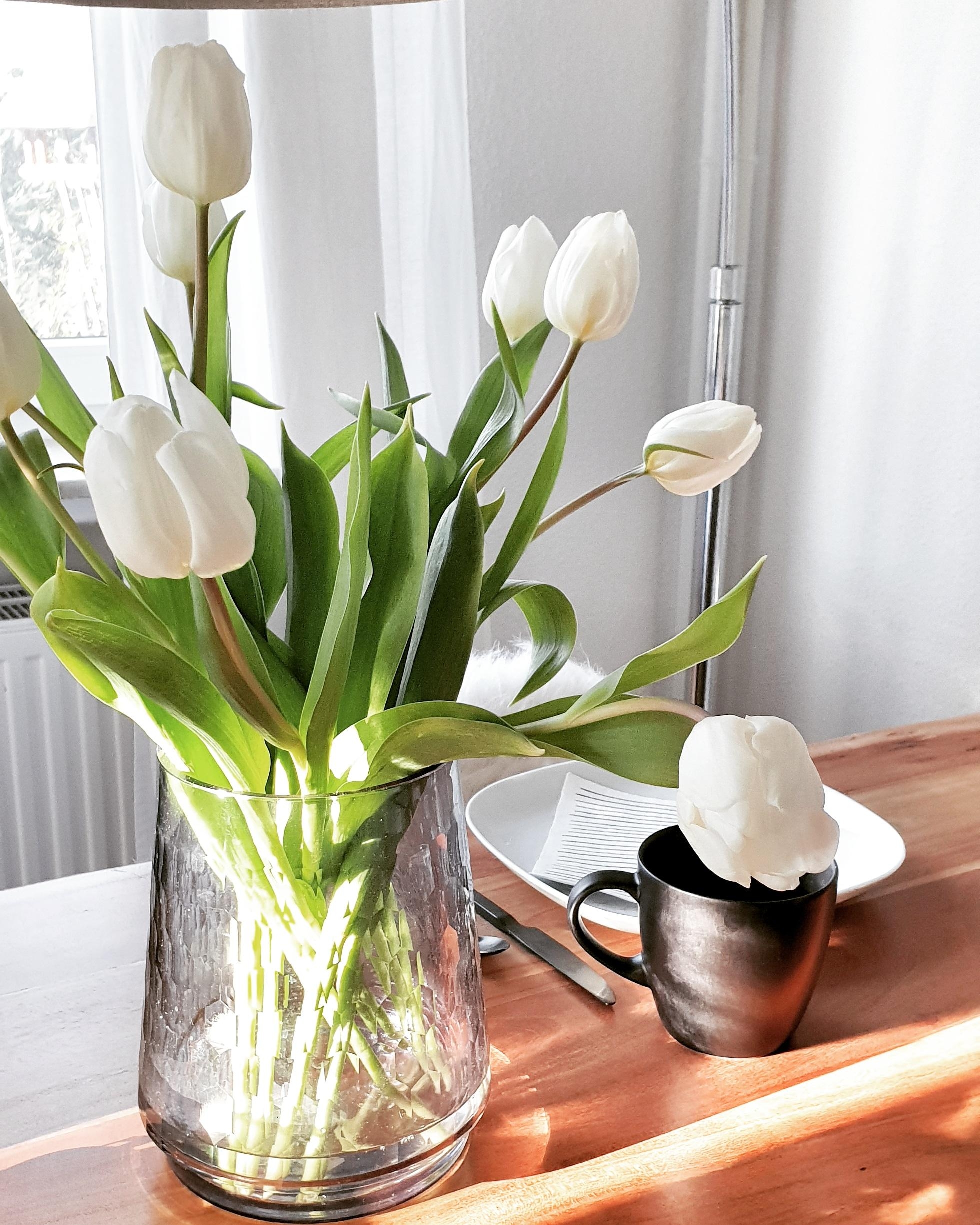 T U L P E N  L I E B E ⚘

#tulip #springiscalling #details #diningtable