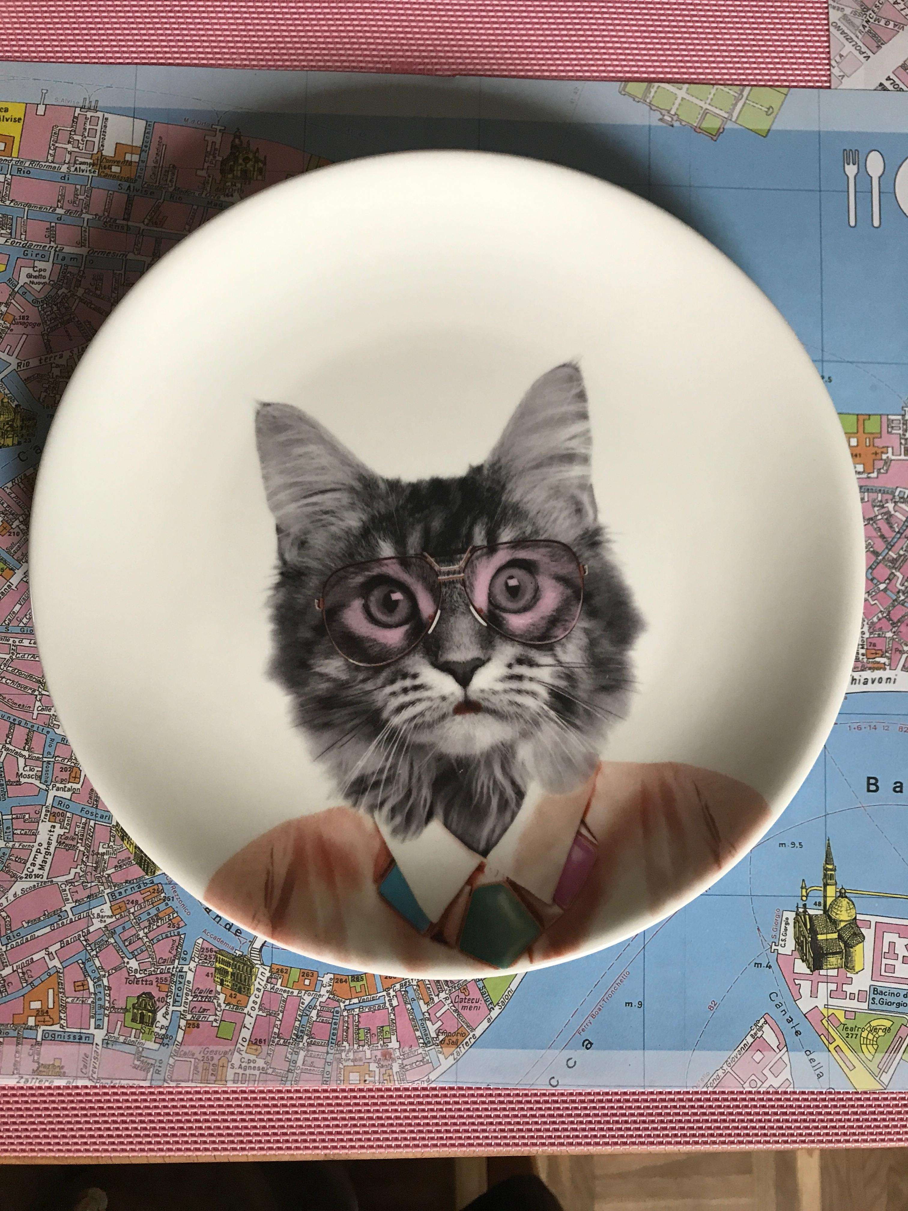 Tableware von verrückten Katzenmenschen 