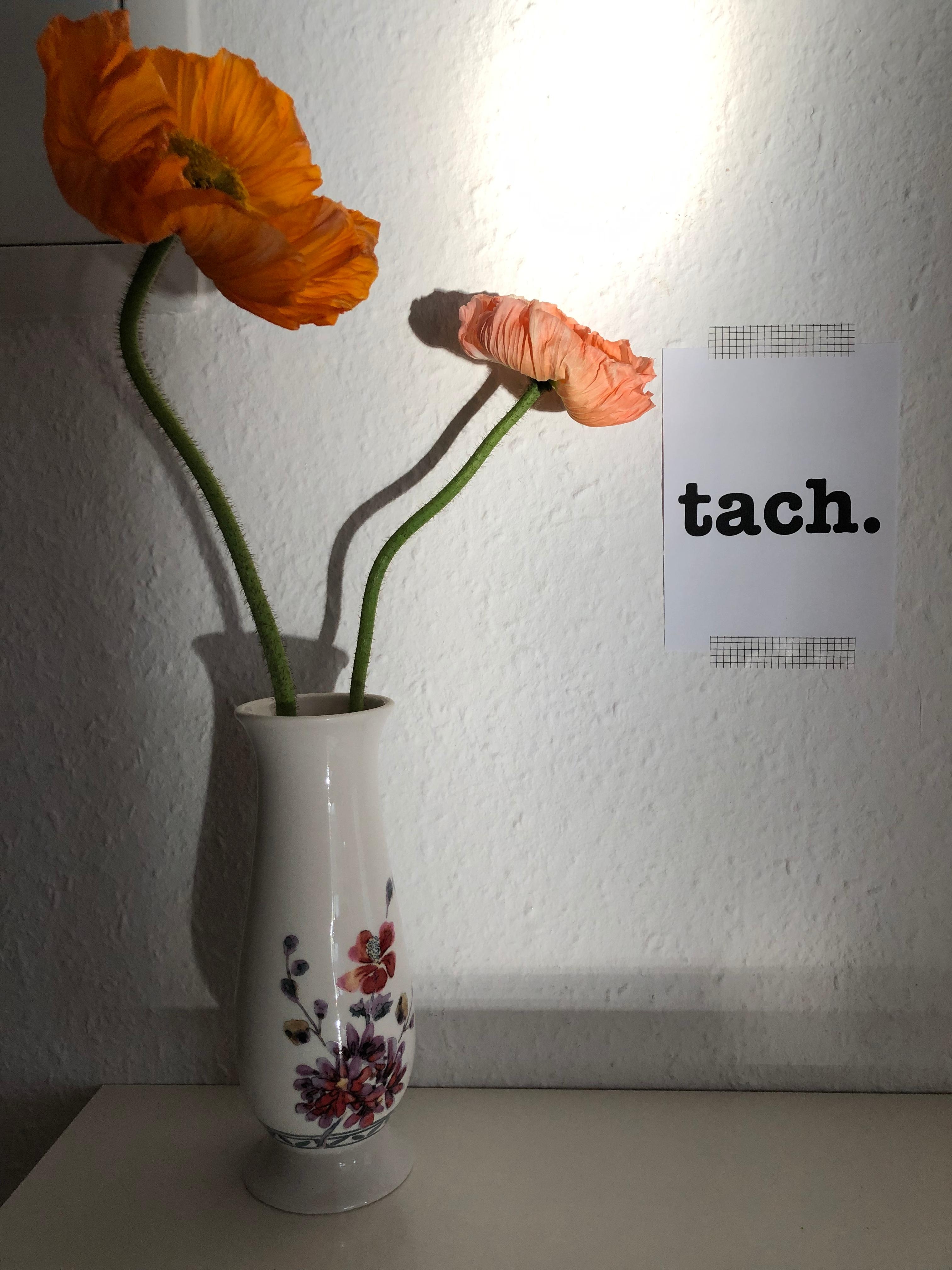 tach. #flowerfriday #flur