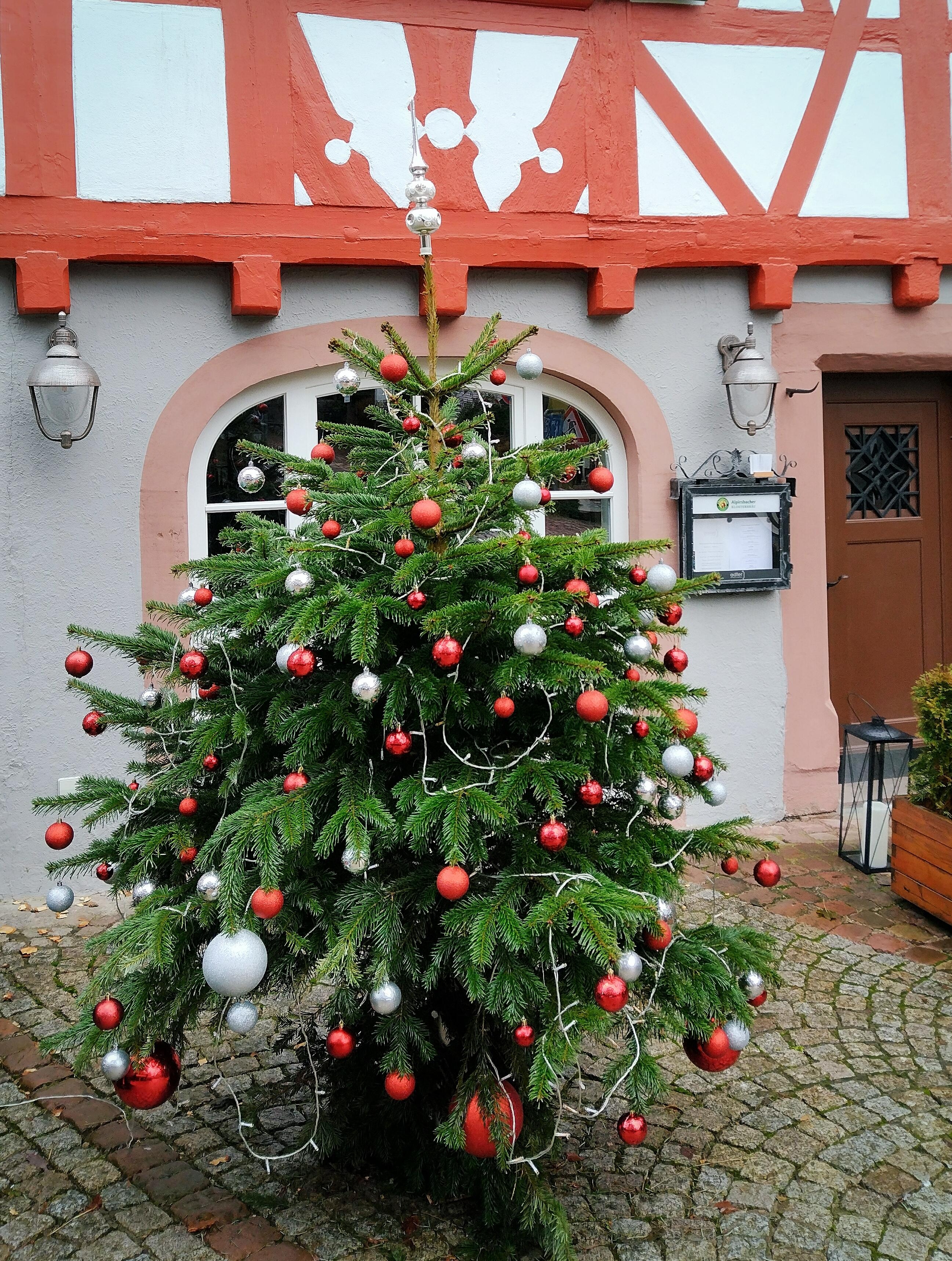 #tannenbaum #weihnachtsbaum #schiltach #schwarzwald