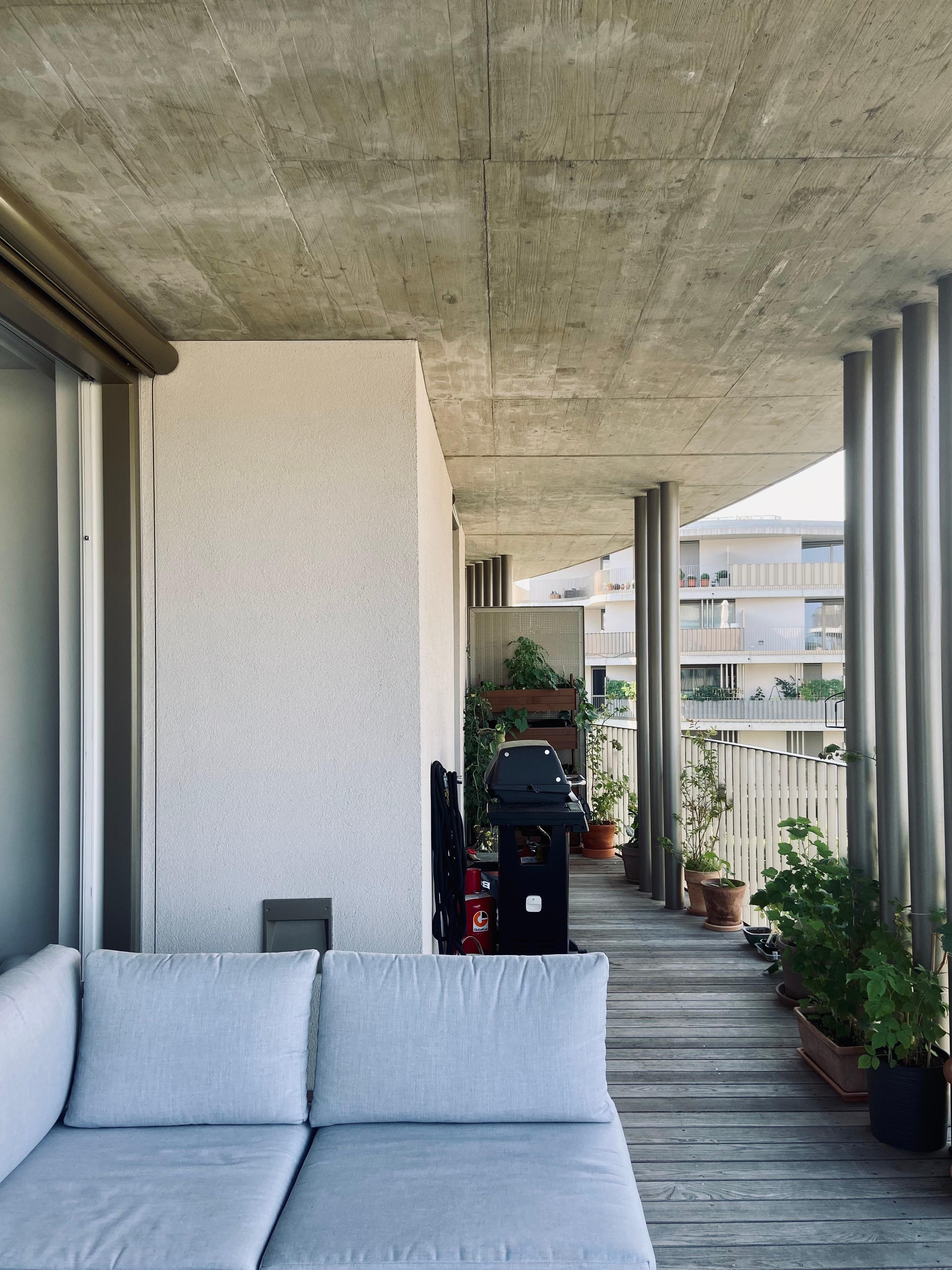 #terrasse #balkon #industrial #sichtbeton #vertikalgarten #pflanzen #hochbett #griller #grillen 