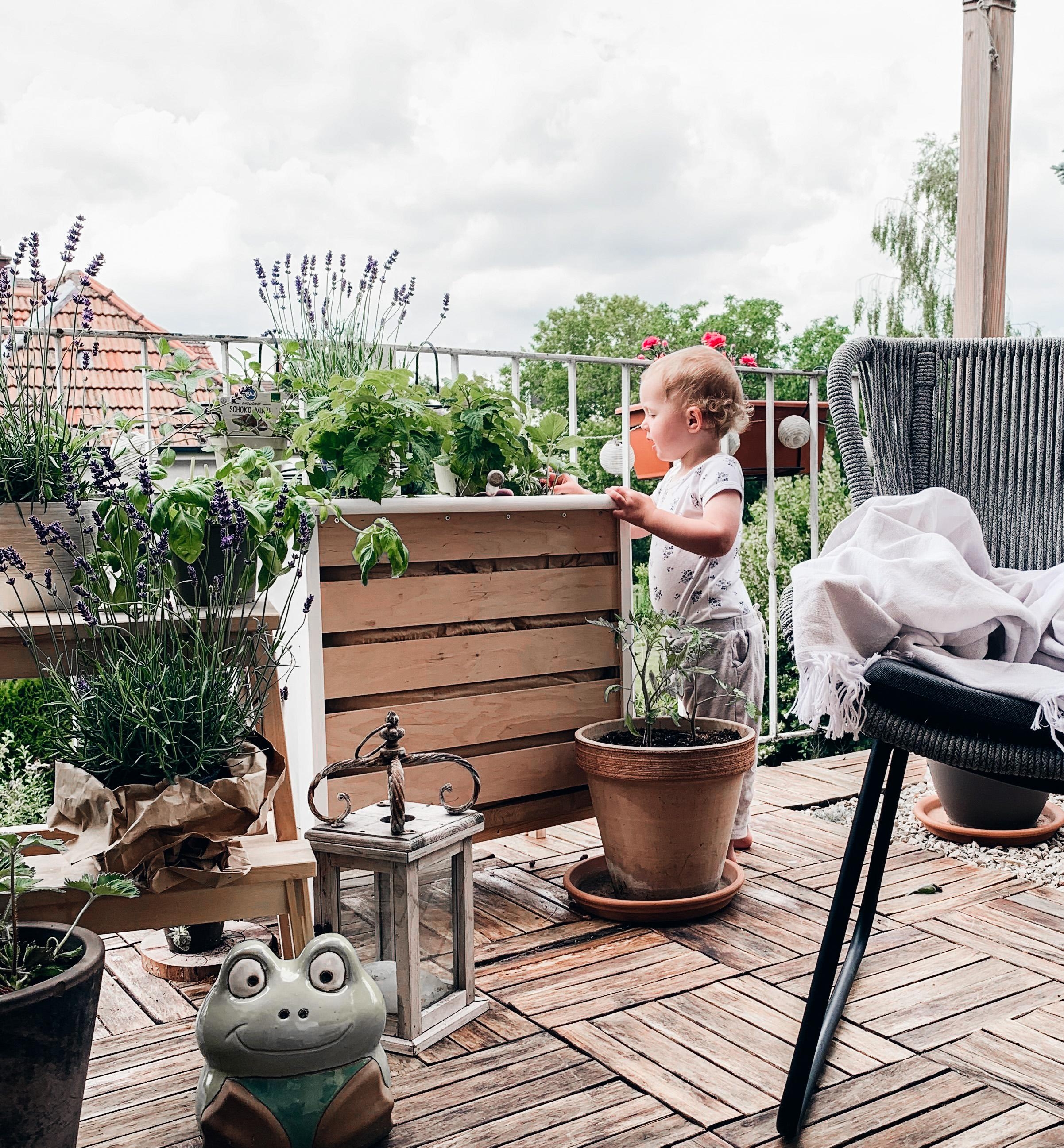 #terrasse #hochbeet #balkonien #grünerdaumen