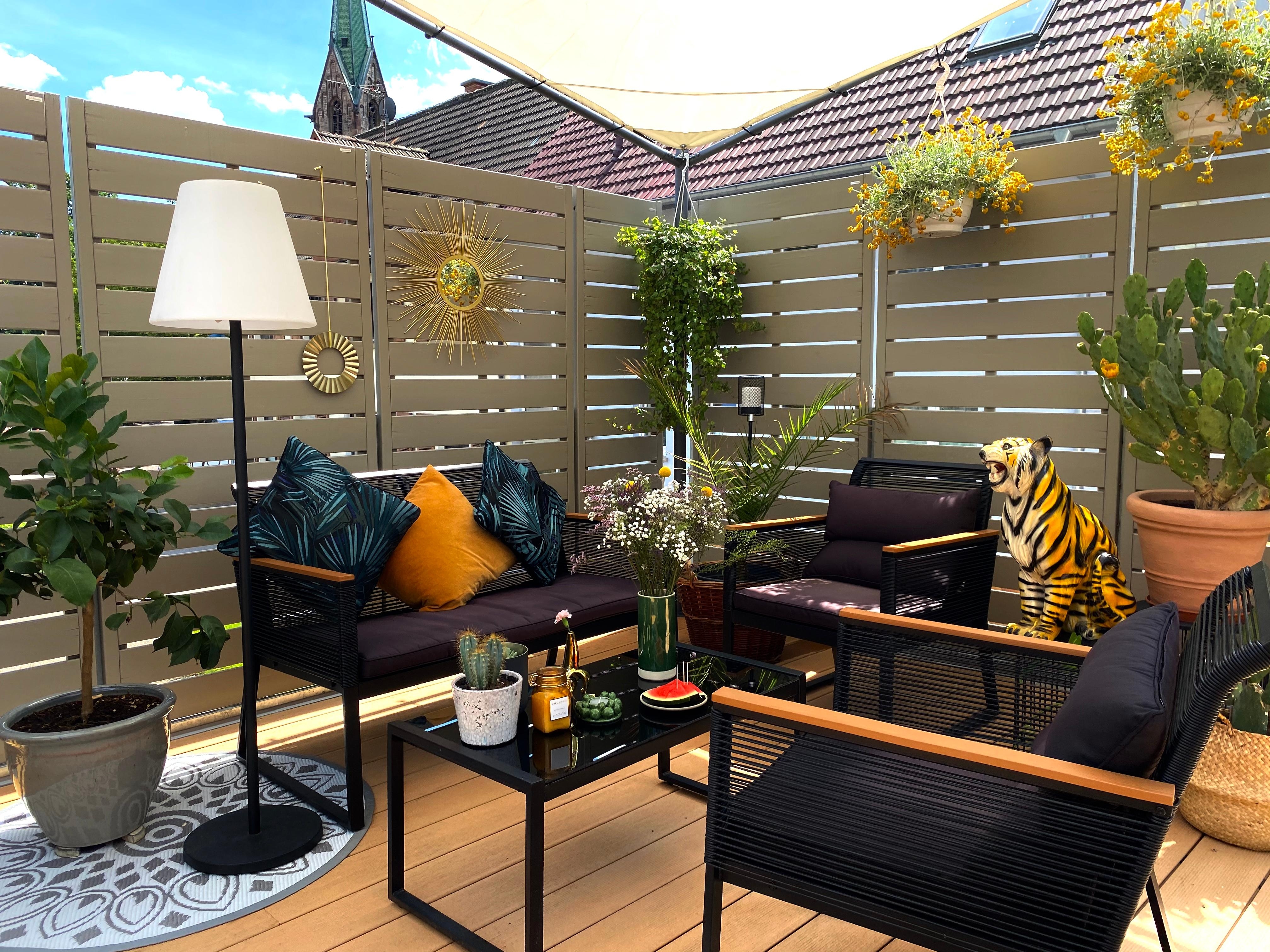 Terrassen Dschungel
#terrasse #urbanjungle #pflanzen #kakteen #staycation #urlaubzuhause 