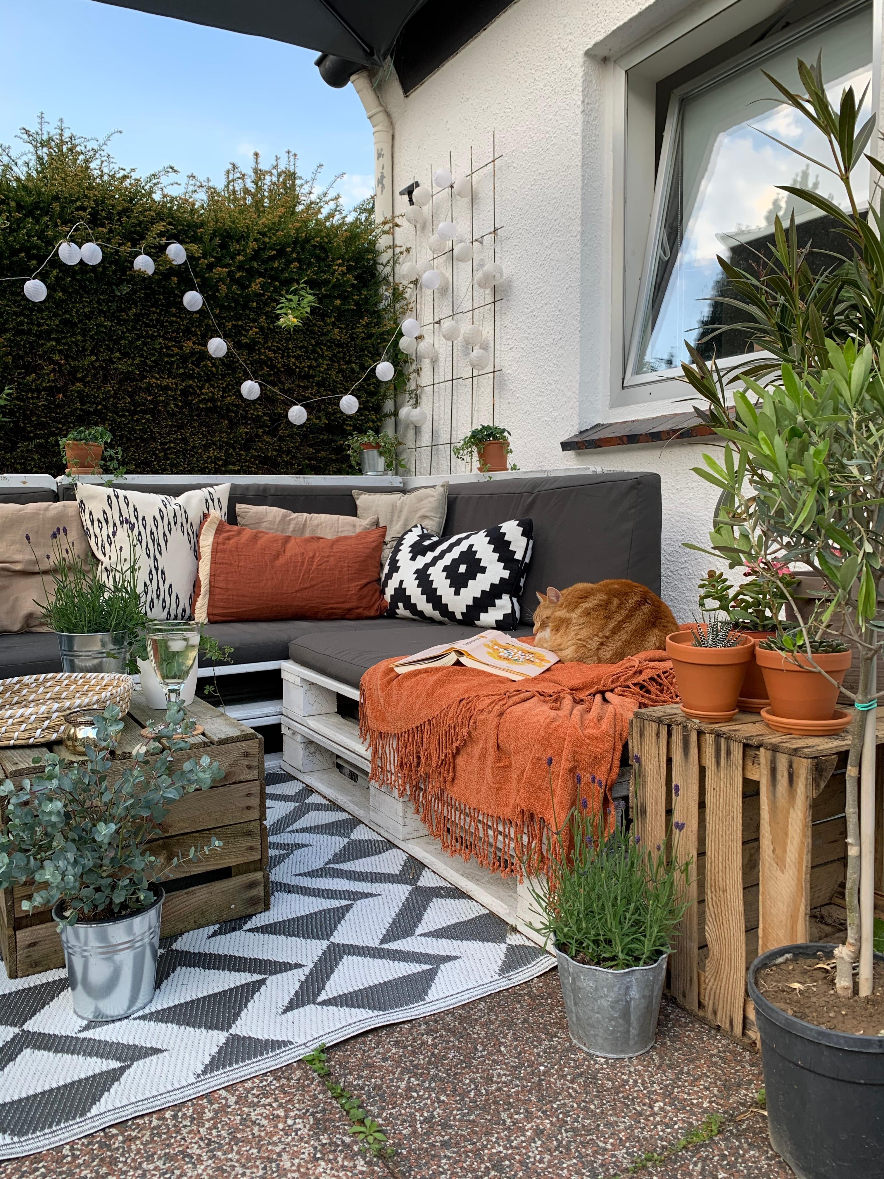 Terrassenglück 🙏

#terrasseninspo #patio #urbanjungle