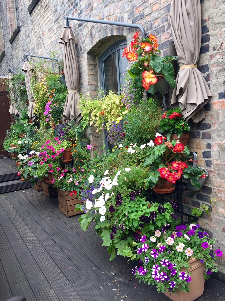 Terrassengoals - wenigstens musste man diesen Sommer nicht viel gießen  #farbenmix #flowerpower #blumen #balkon