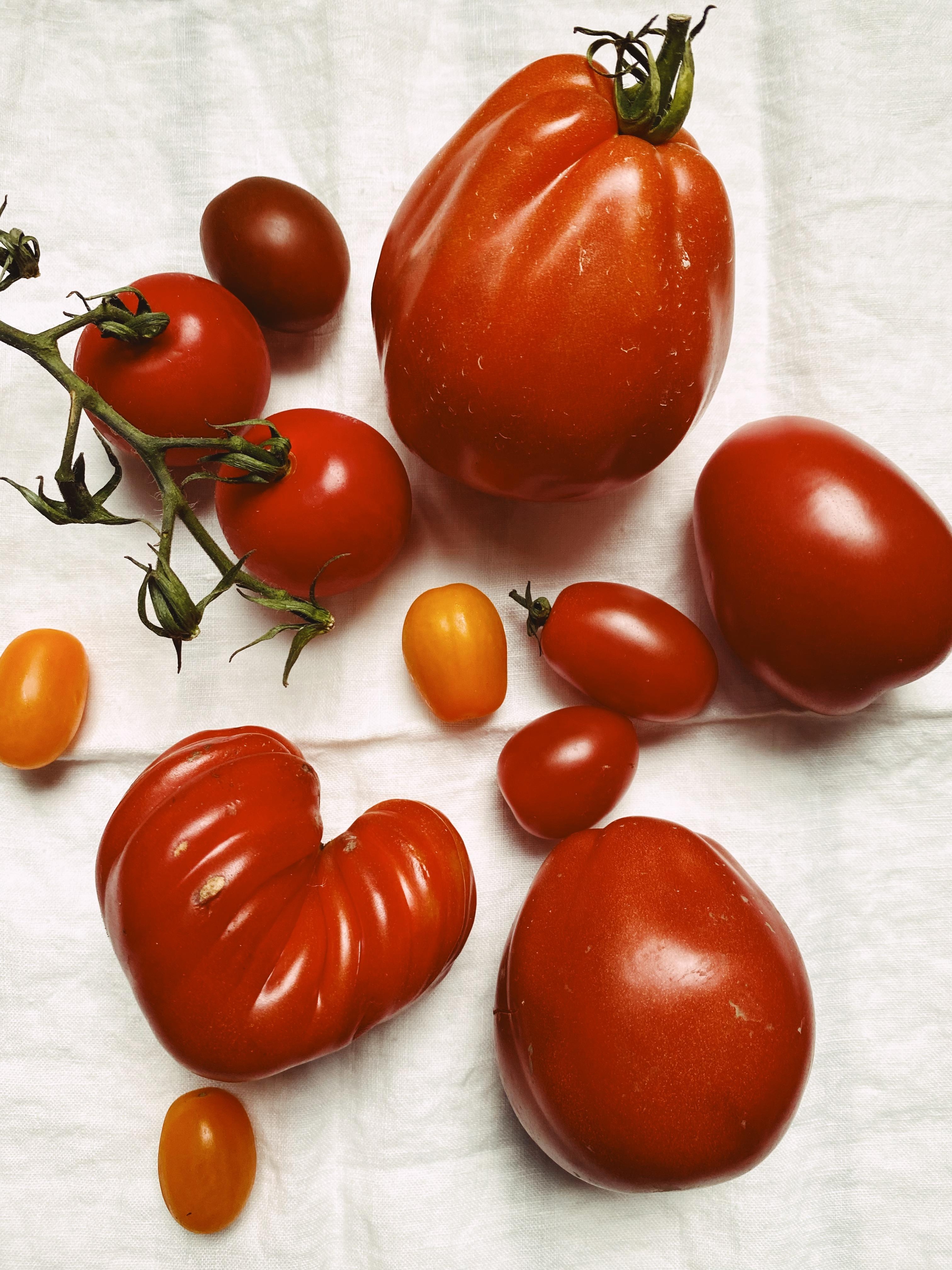 #Tomaten - Eine schöner als die Andere 😍 #veggieliebe #naturliebe #gartenliebe 