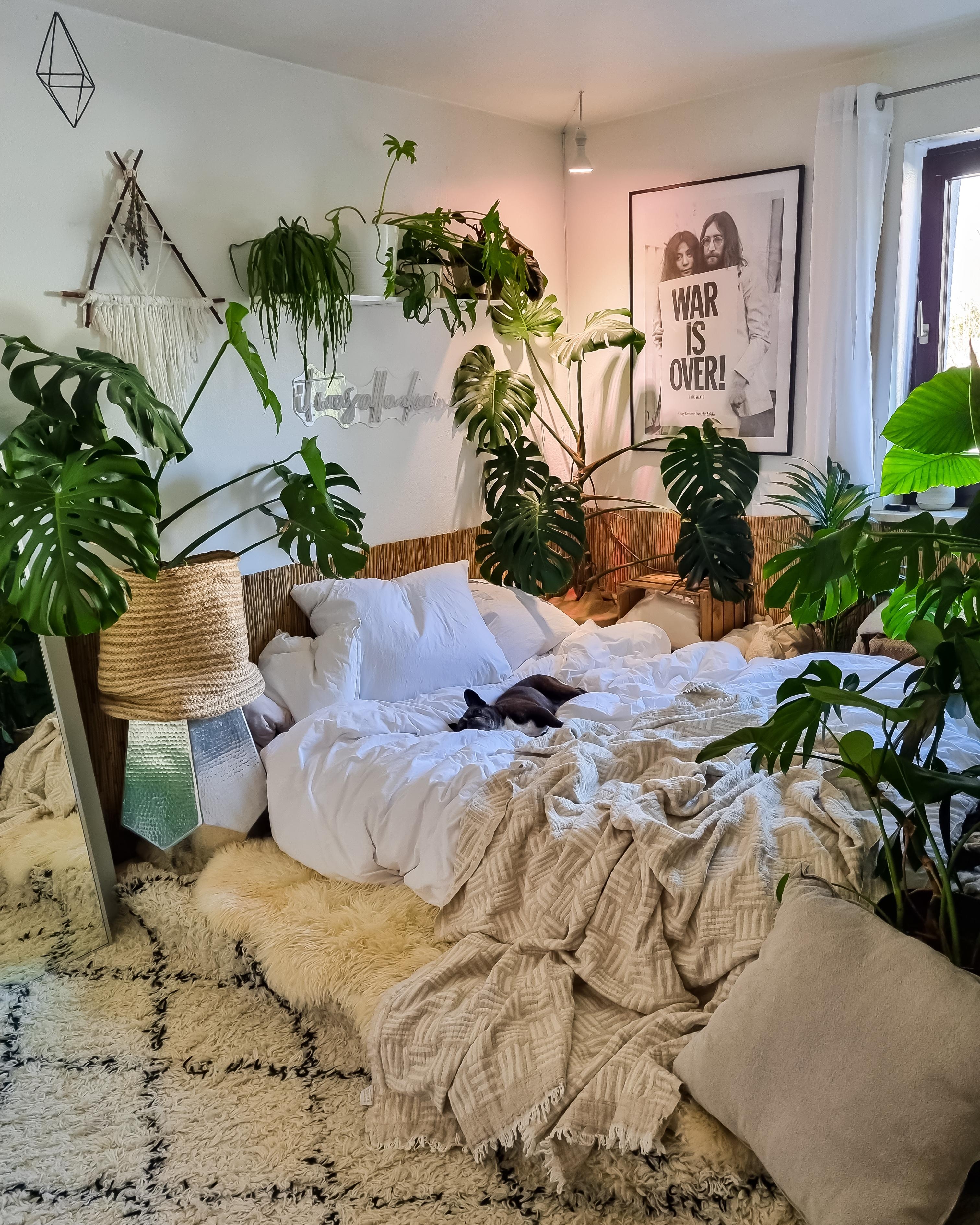 Träumen #Schlafzimmer #Wohnung #Paletten #bett #palettenbett #Pflanzen #Monstera #Teppich #Fell #Poster #Galerie 