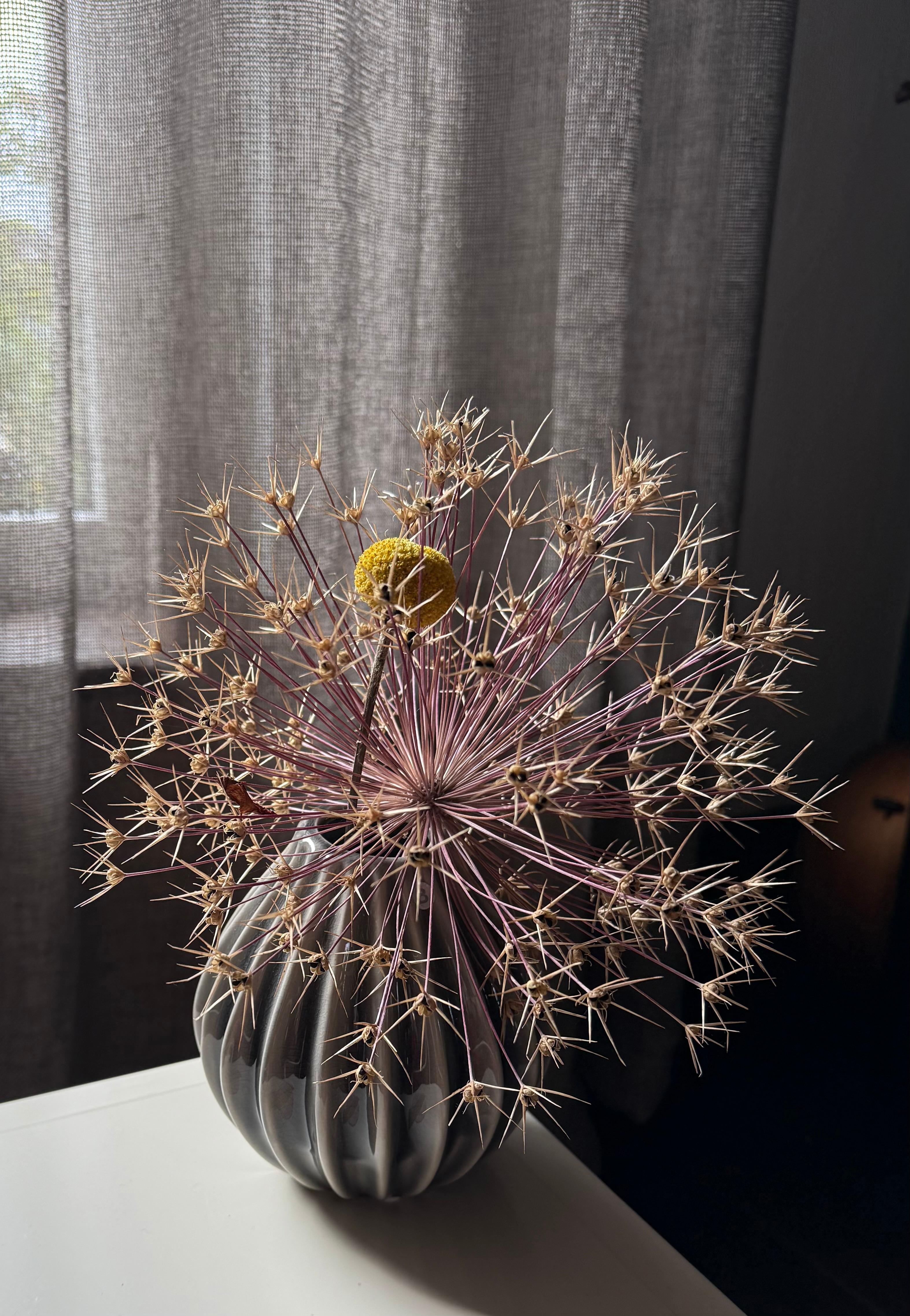 Trockenblumen 
#Blumen #Vase
