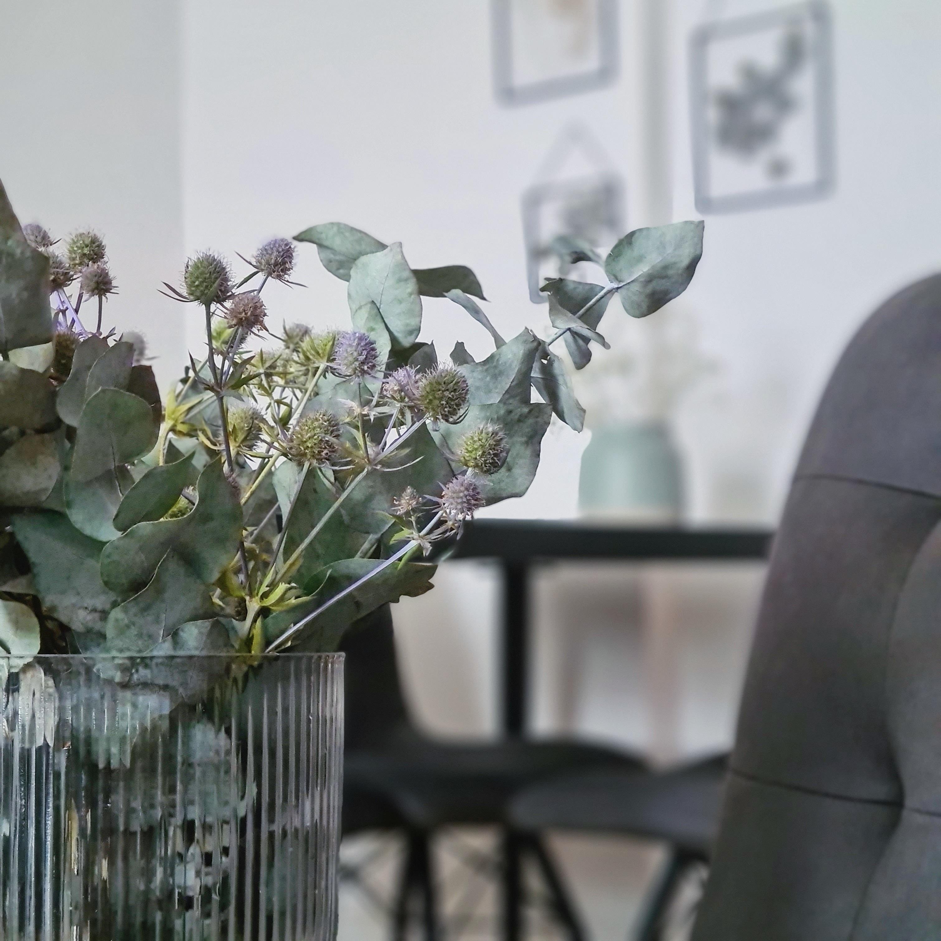 #trockenblumen #eukalyptus #disteln #homesweethome 