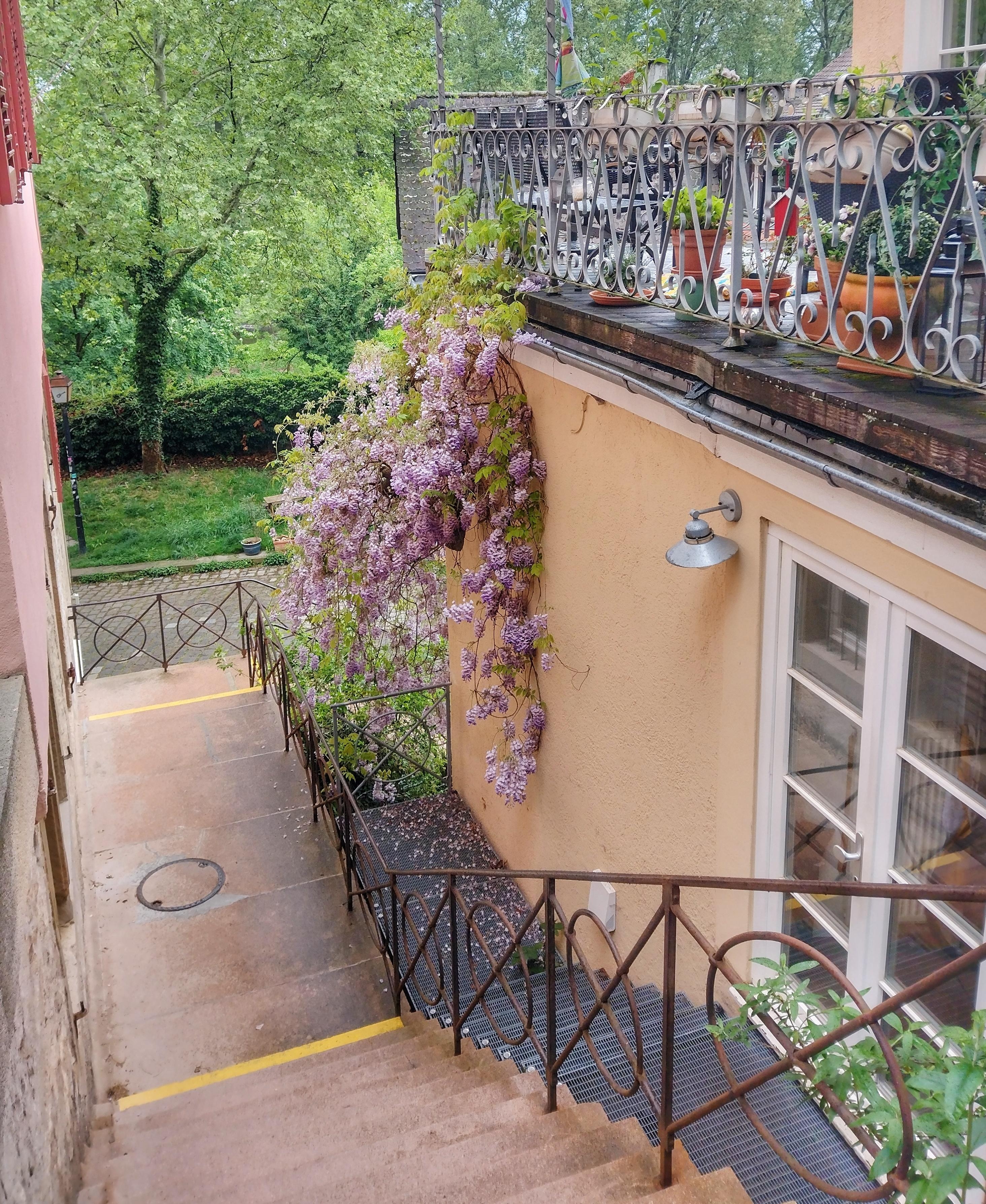 #tübingen #frühling #regnerisch 