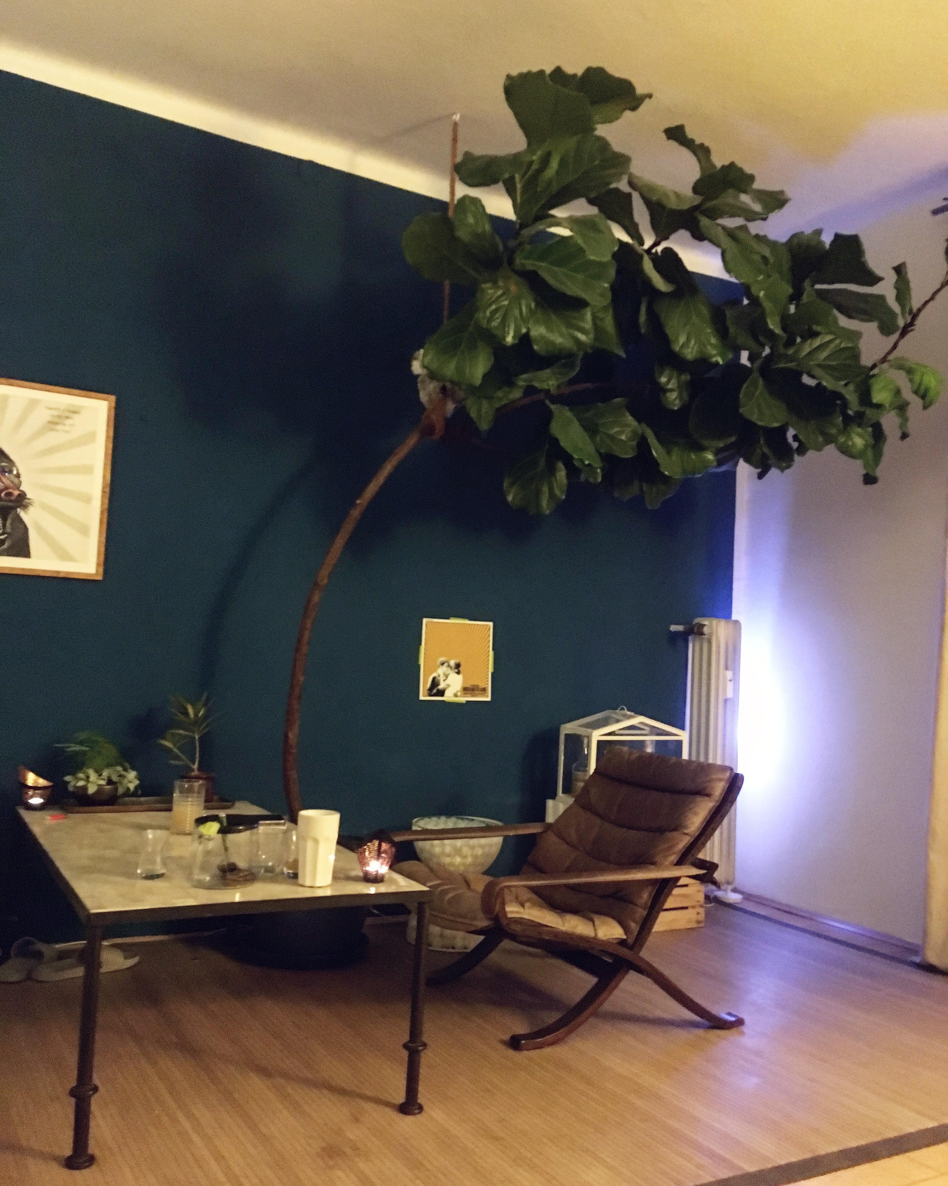 Türkischen Tee, marokkanischer Feigenbaum und gute Beats #samstagabend #feigenbaum #pflanze #blau #wohnzimmer