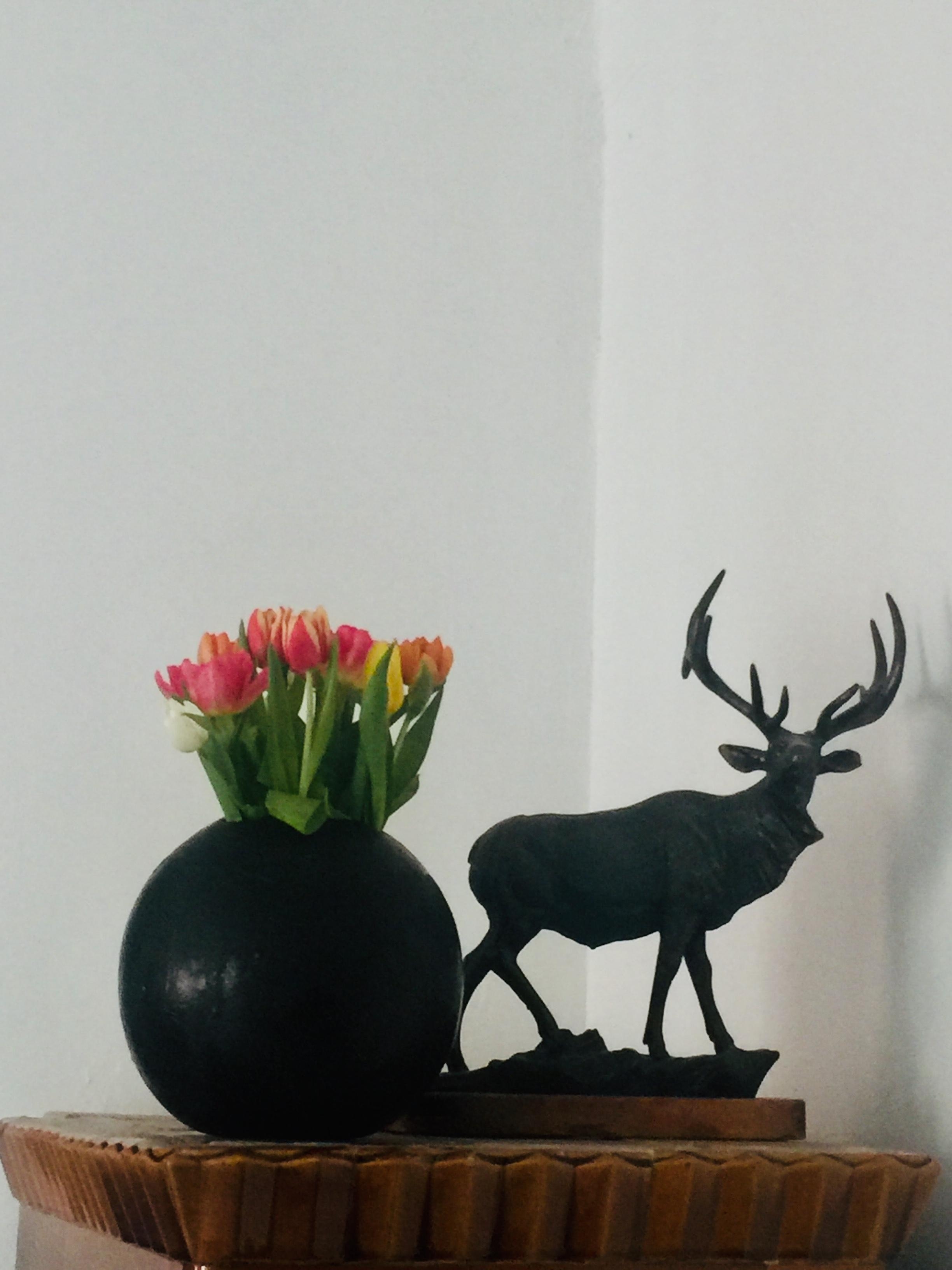 Tulips#iron pot#Iron deer#