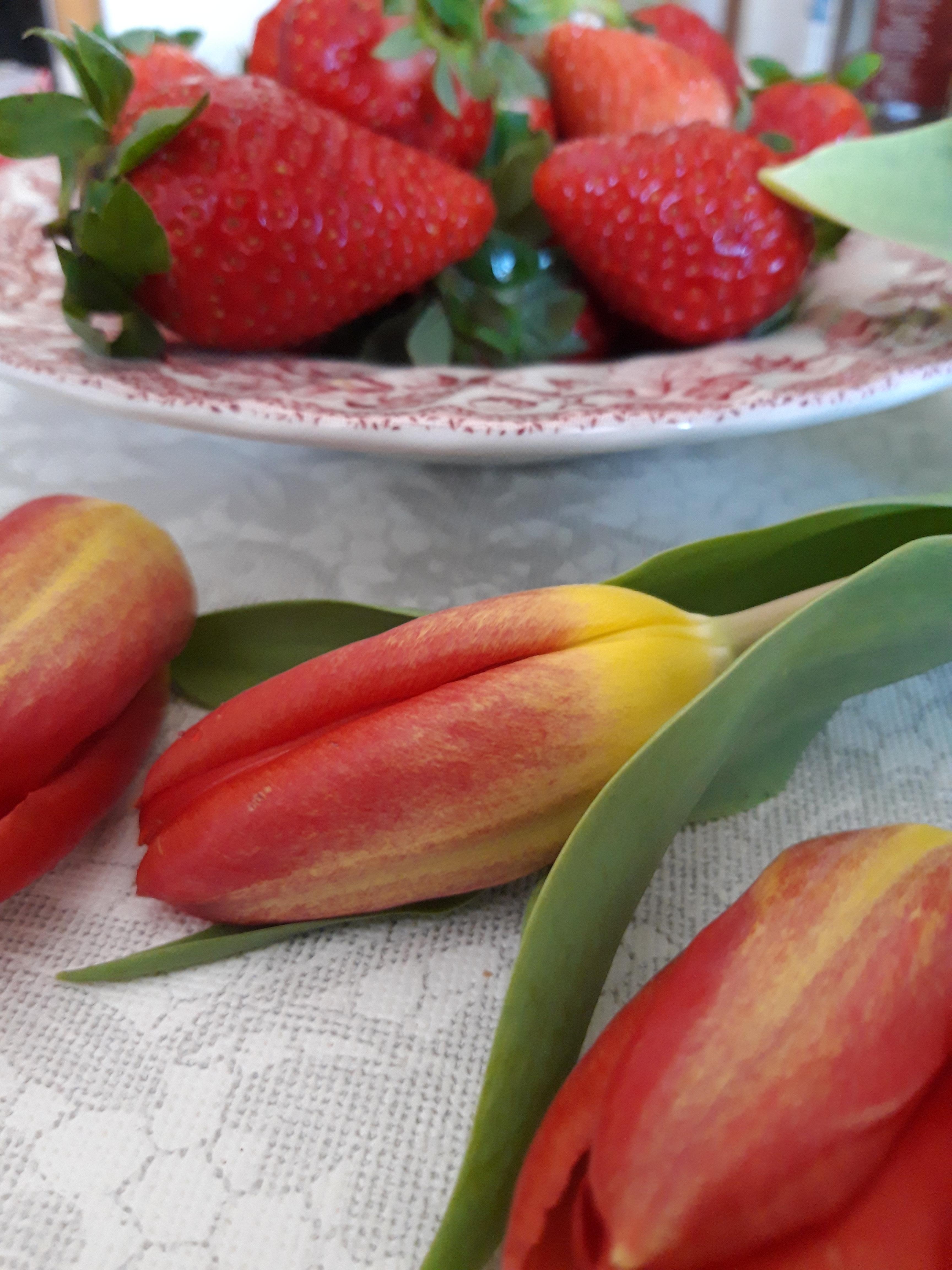 #Tulpe trifft auf #Erdbeere. 