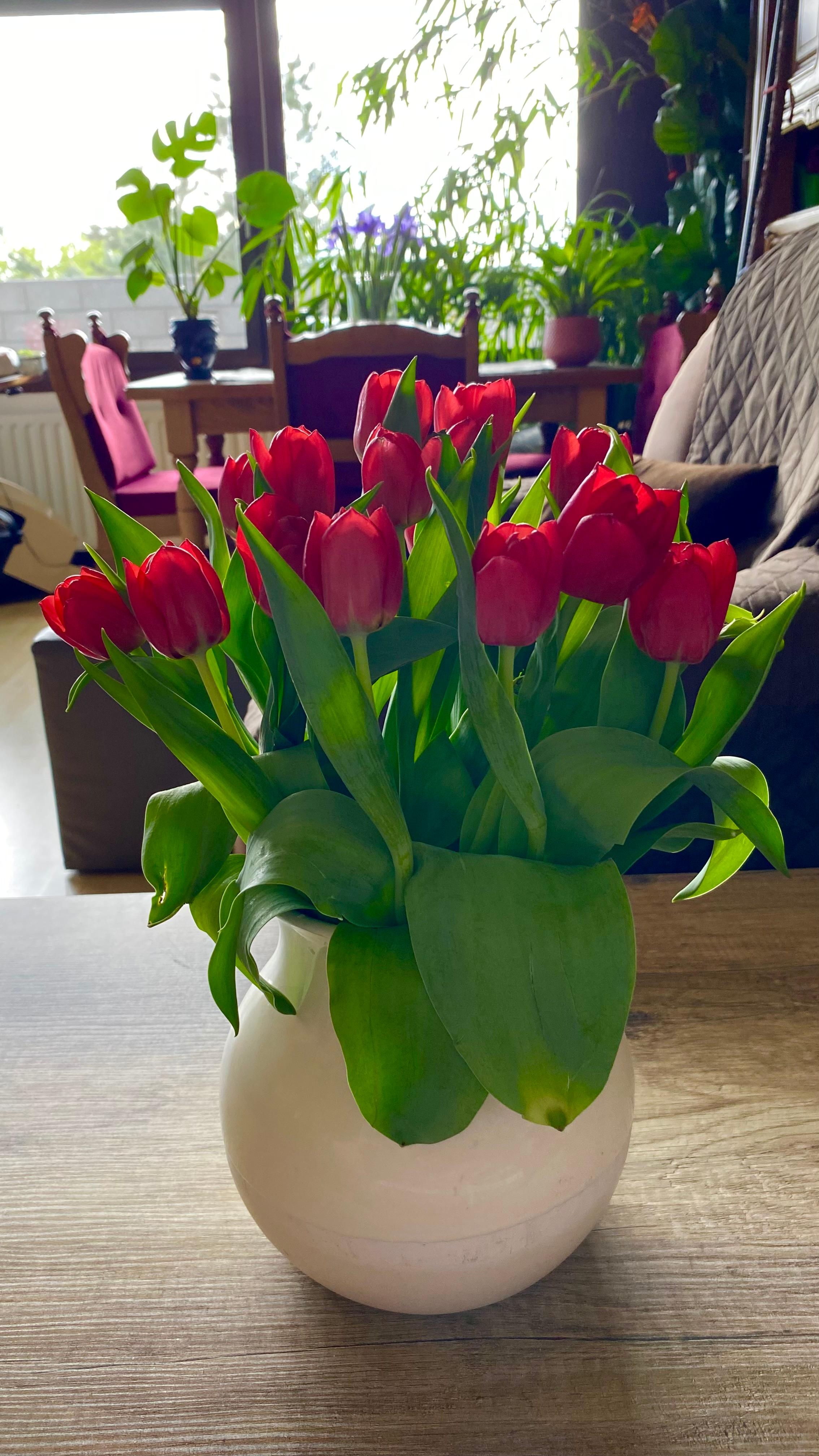 #tulpen 🌷 #couchliebt #vase #wohnzimmer
Mein letzter Tulpenstrauss dieses Jahr!