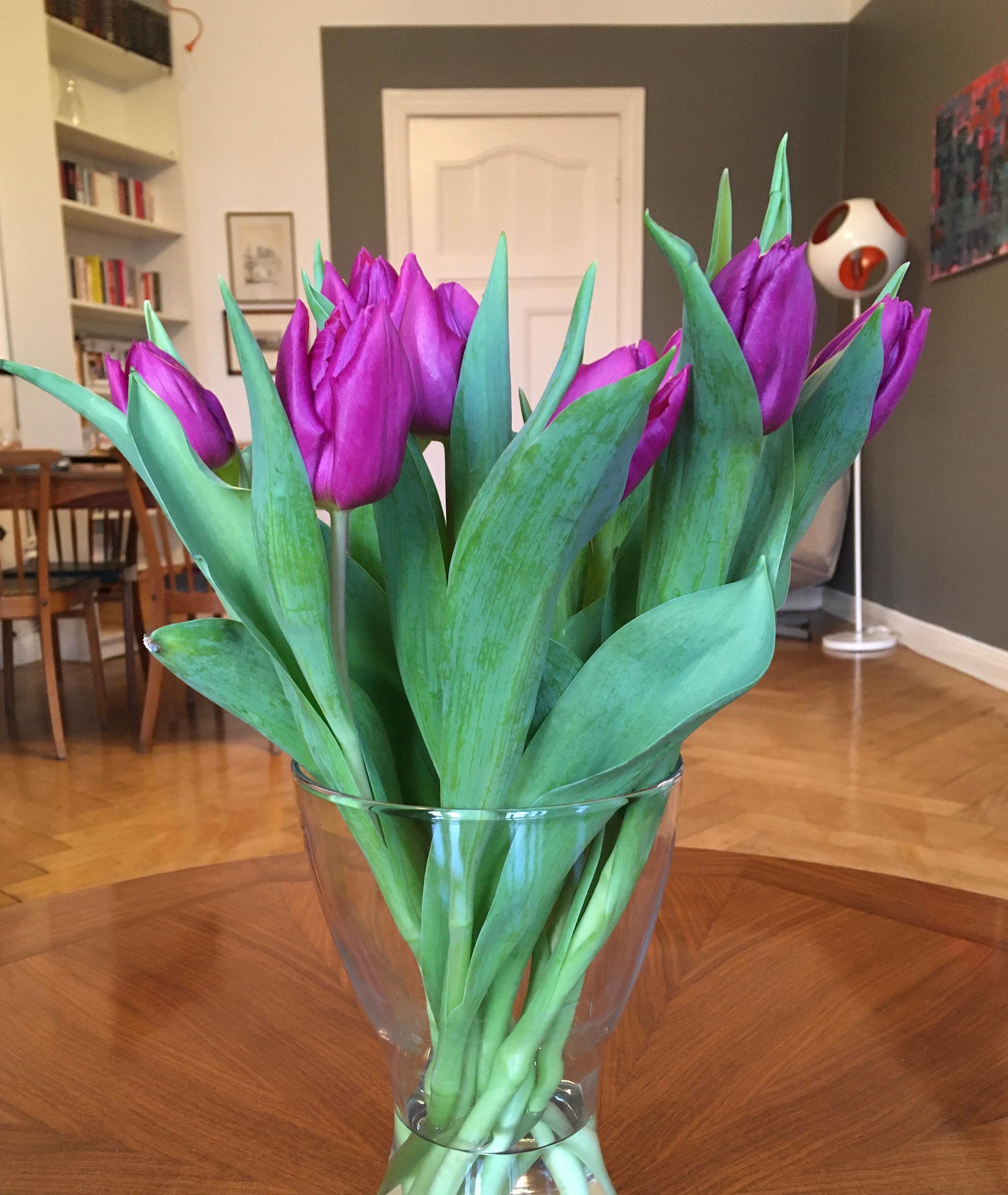 Tulpen! 🌷
#freshflowerfriday #tulpen #living #livingroom #weekend