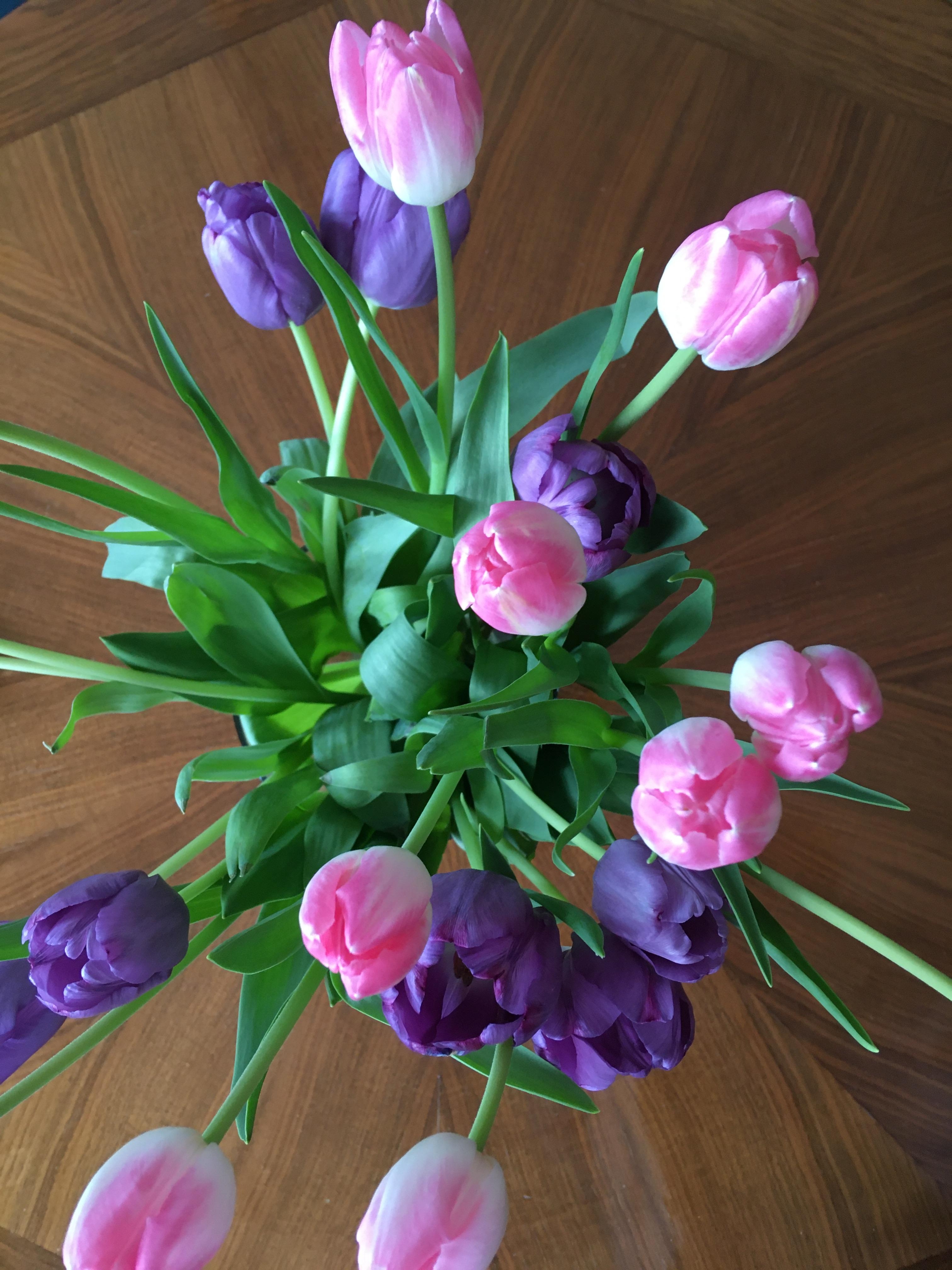 Tulpen am #freshflowerfriday 🌷