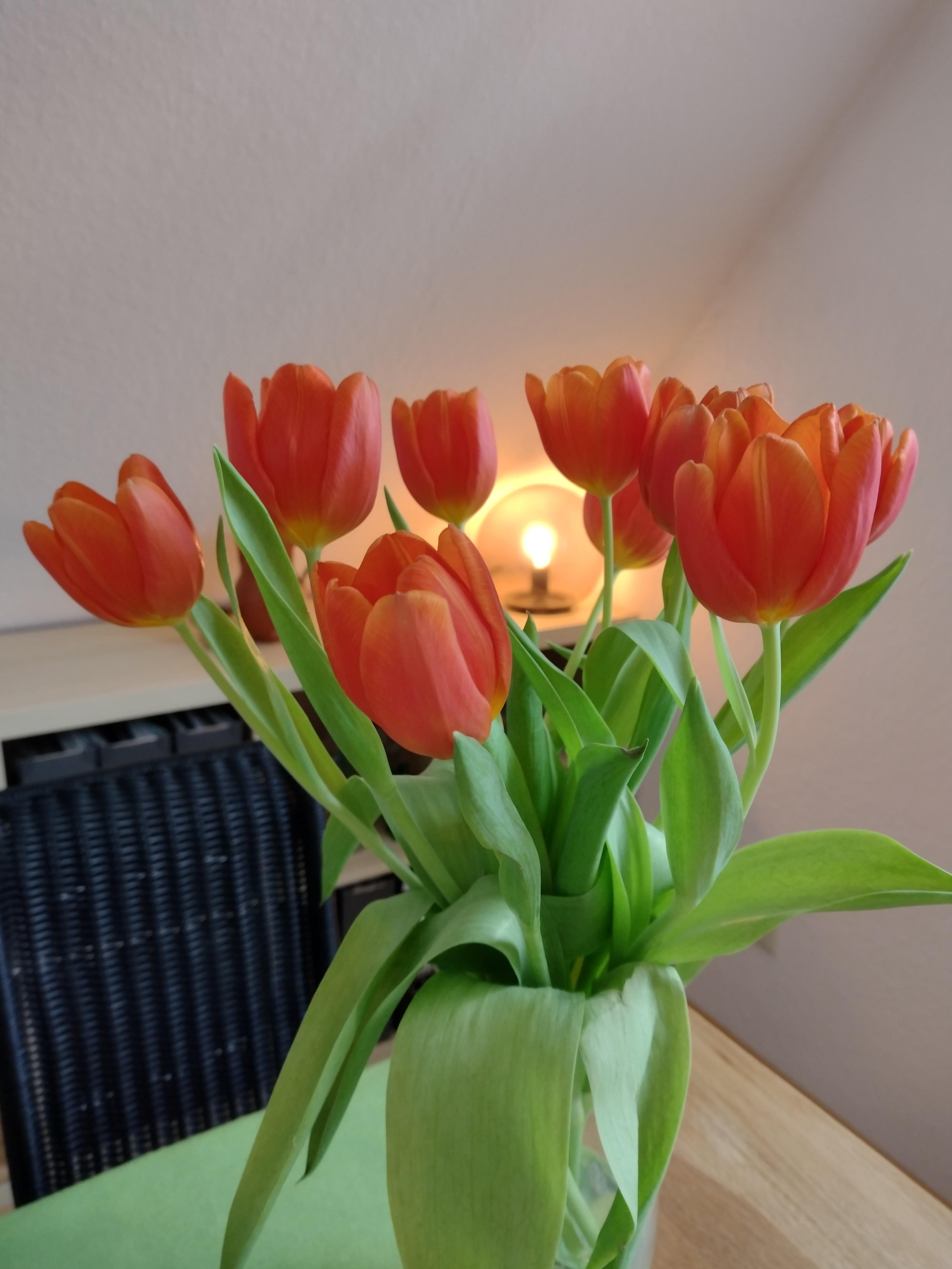 #tulpen #frischeblumen #blumenliebe