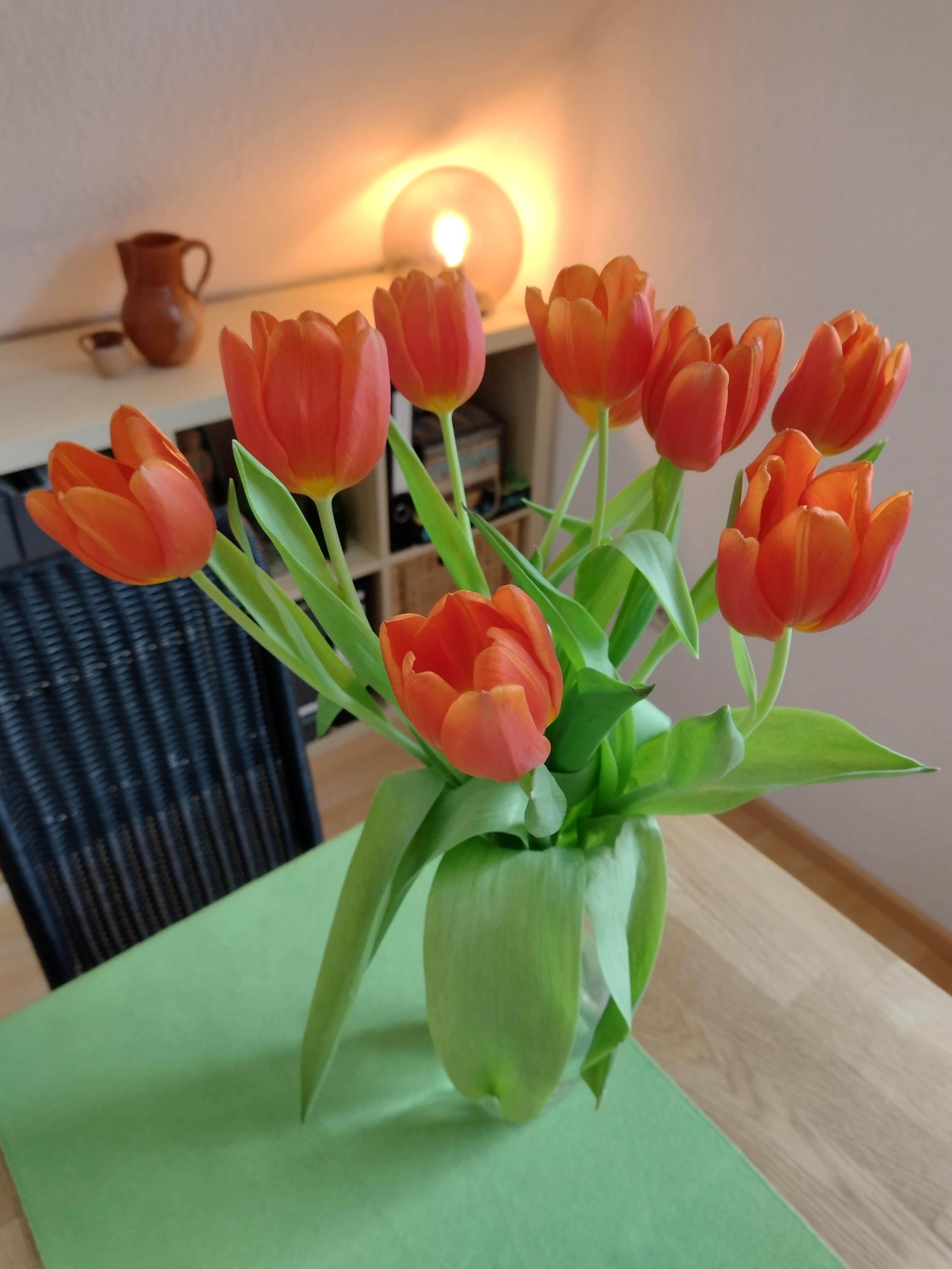 #tulpen #frischeblumen #blumenliebe