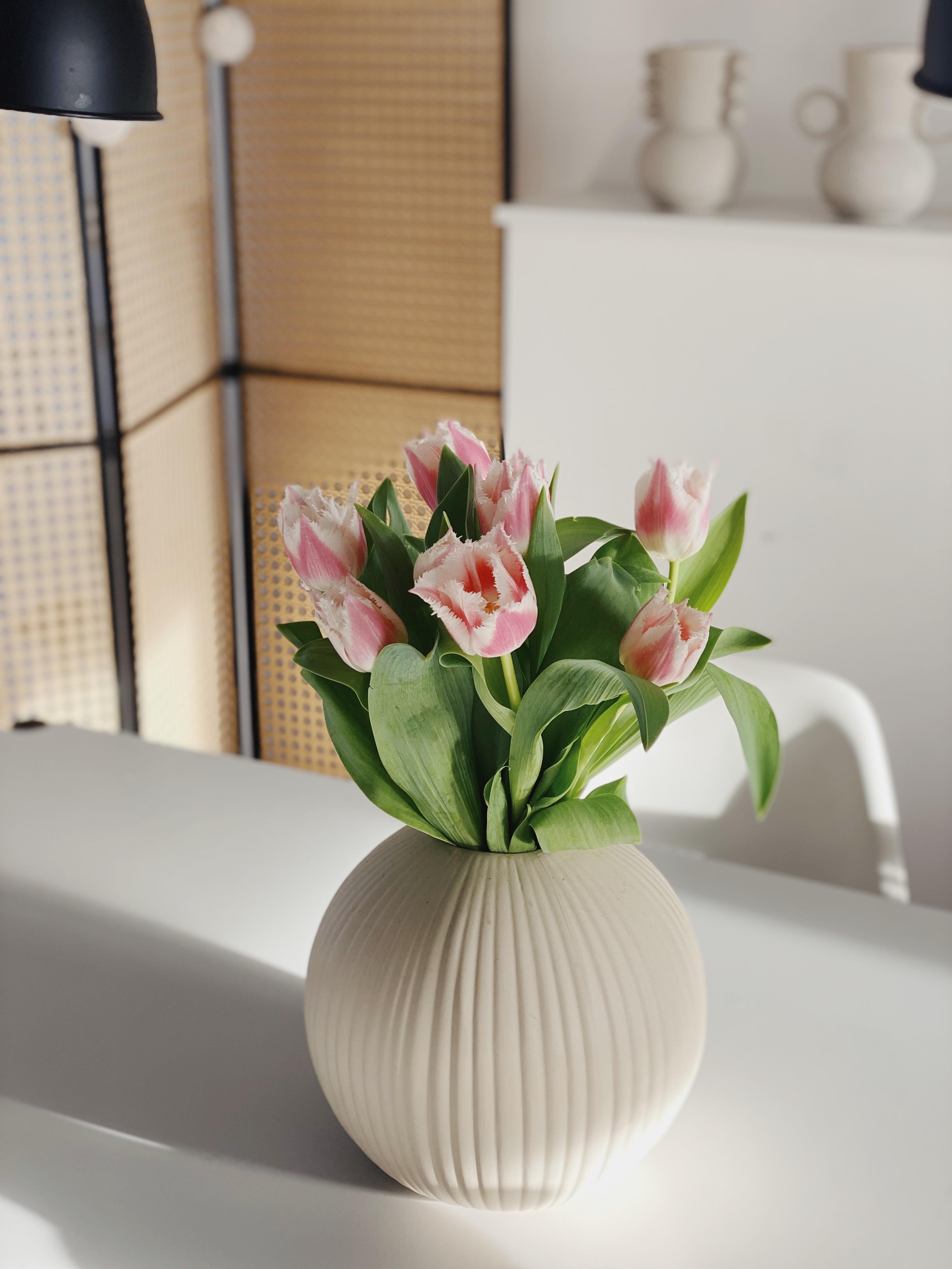 Tulpen gegen Januarblues 🌷🌷🌷
#tulpen #tulpenliebe #blumendeko #vase #deko #blumen #inspiration