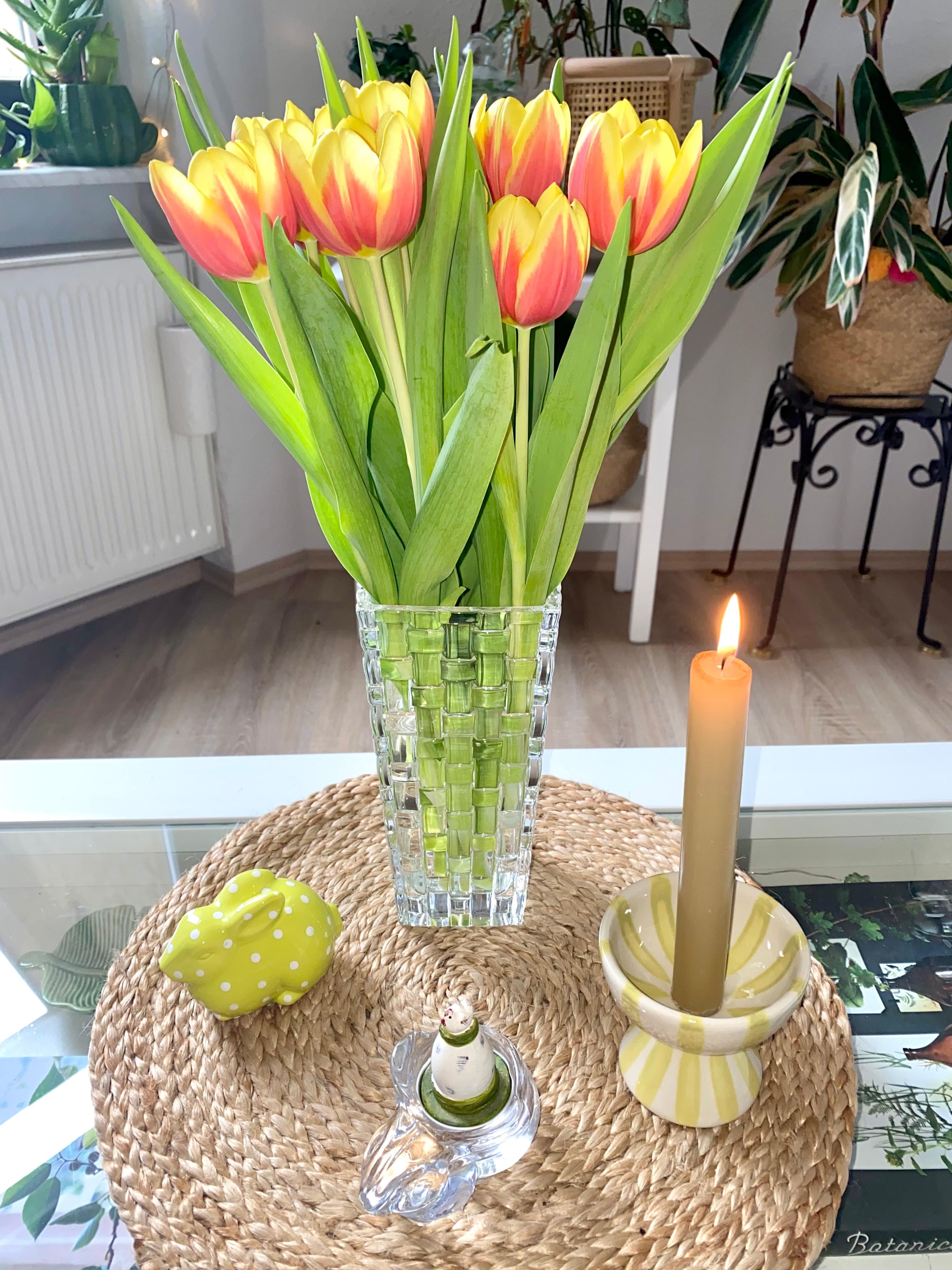 Tulpen gehören zu meinen Lieblingsblumen. 🌷😍
#tulpen #deko #ostern #frühlingsdeko #osterdeko #osterhase #kerzen