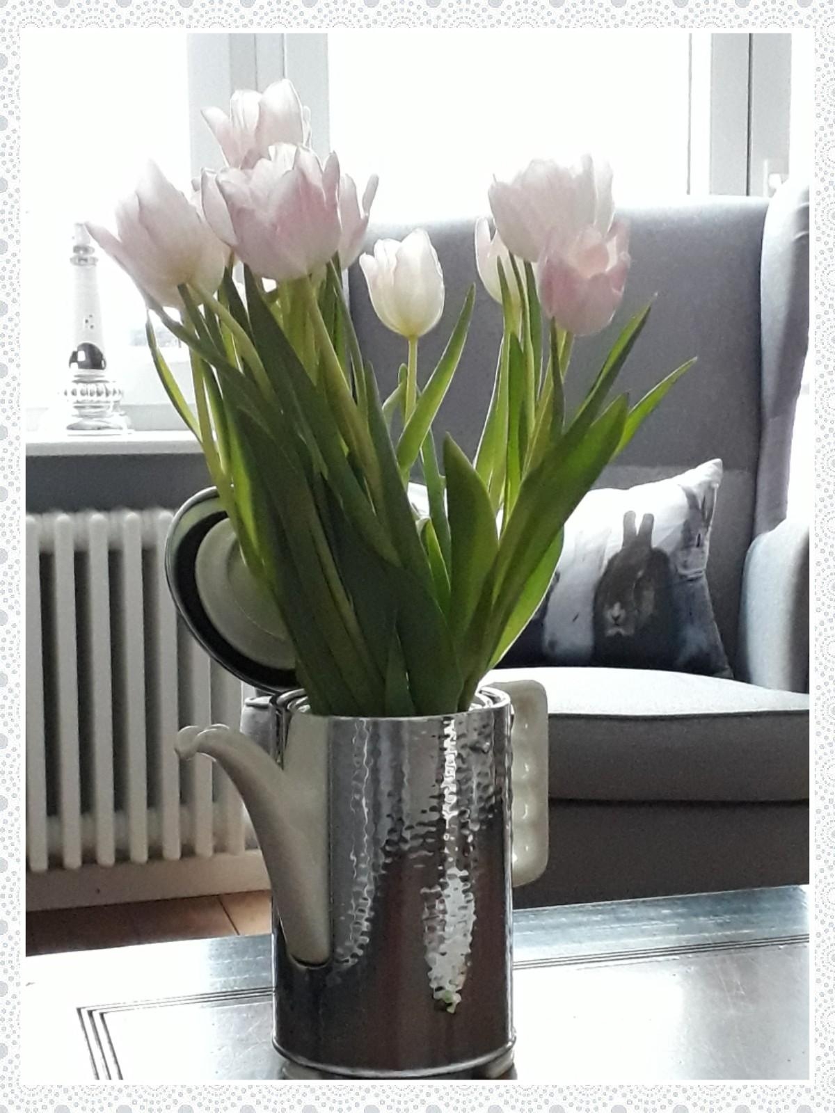 Tulpen, in einer alten Kaffeekanne arrangiert, lassen uns vom bevorstehenden Frühling träumen!