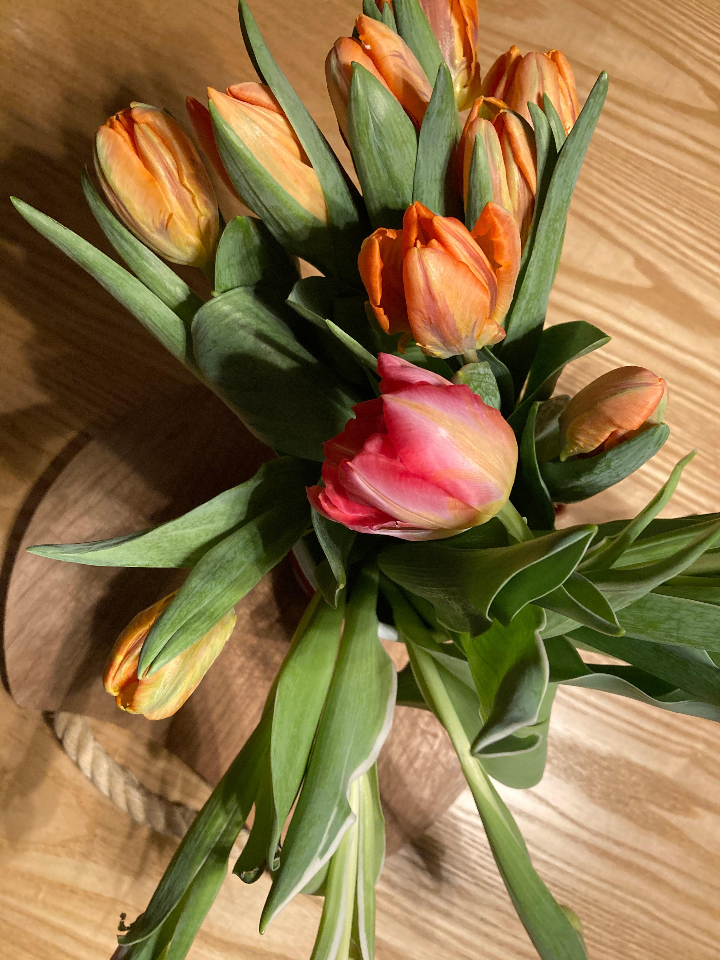 Tulpen, meine Lieblinge. In den schönsten Farben. #tulpen #blumen #holztisch #frischesgrün #orange #farbtupfer