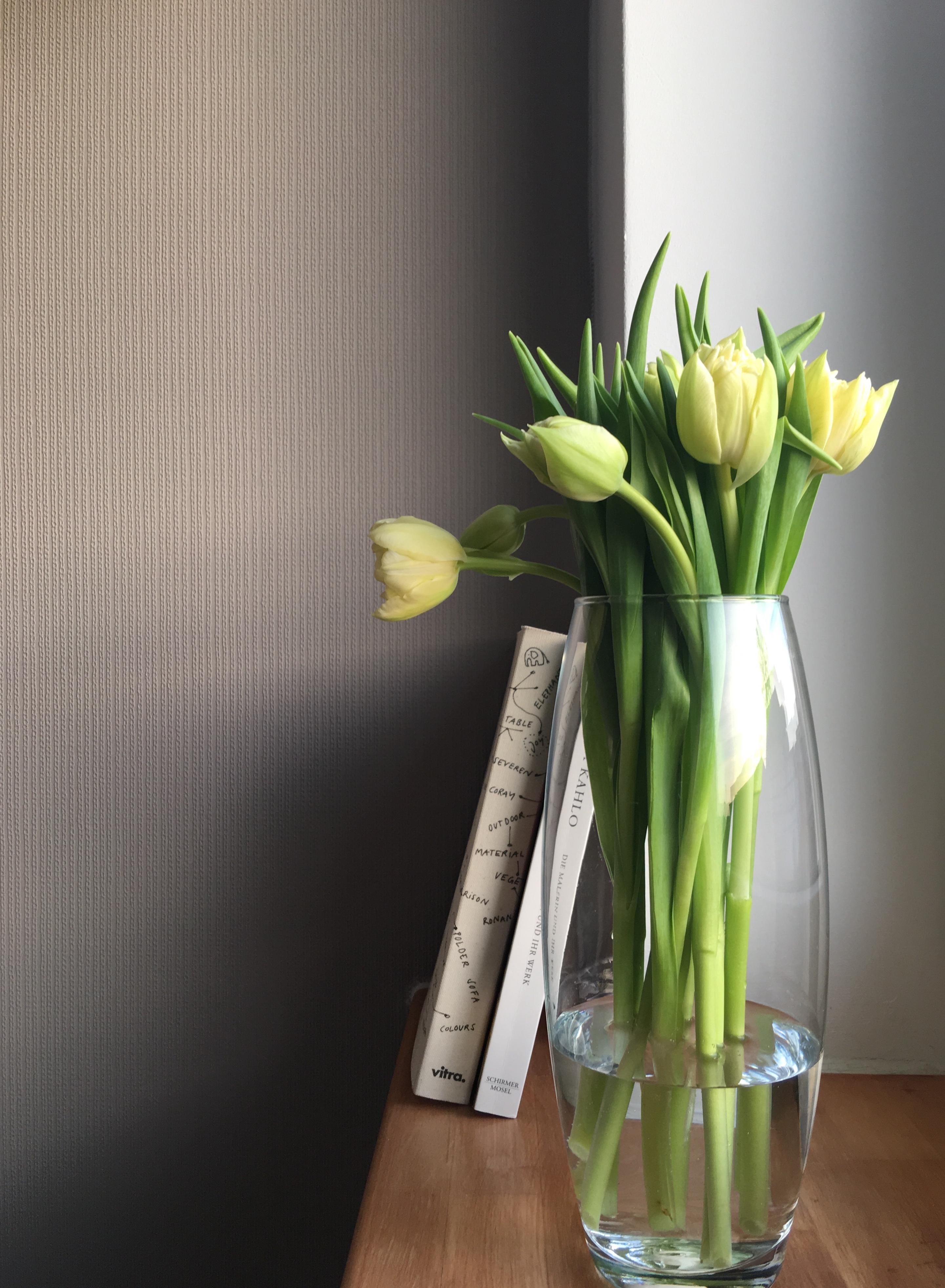 #tulpen #tulpen-ideen #tulpenliebe #fensterbank #flowers 
