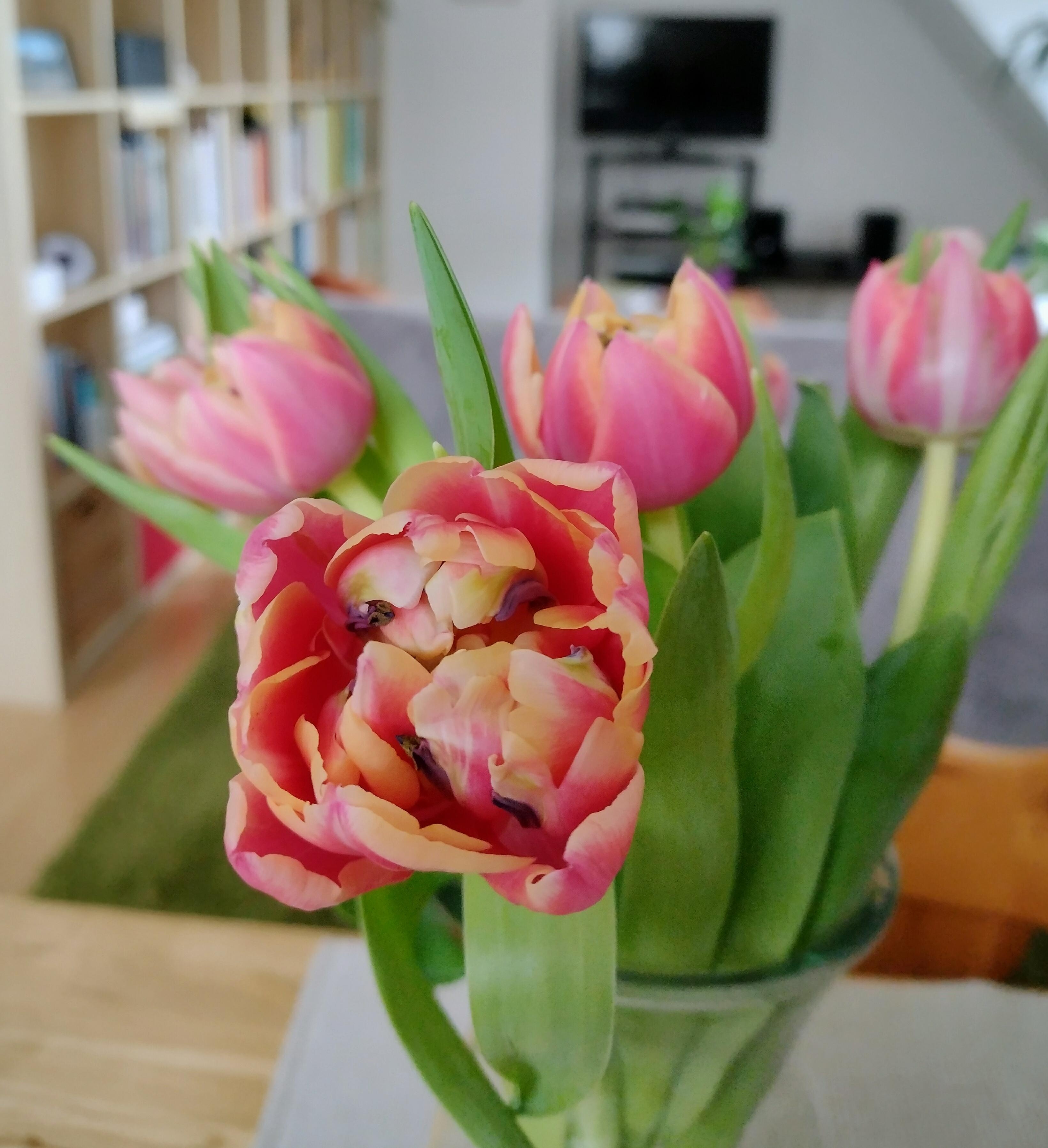 #tulpen #tulpenliebe #frischeblumen #details #blumenliebe