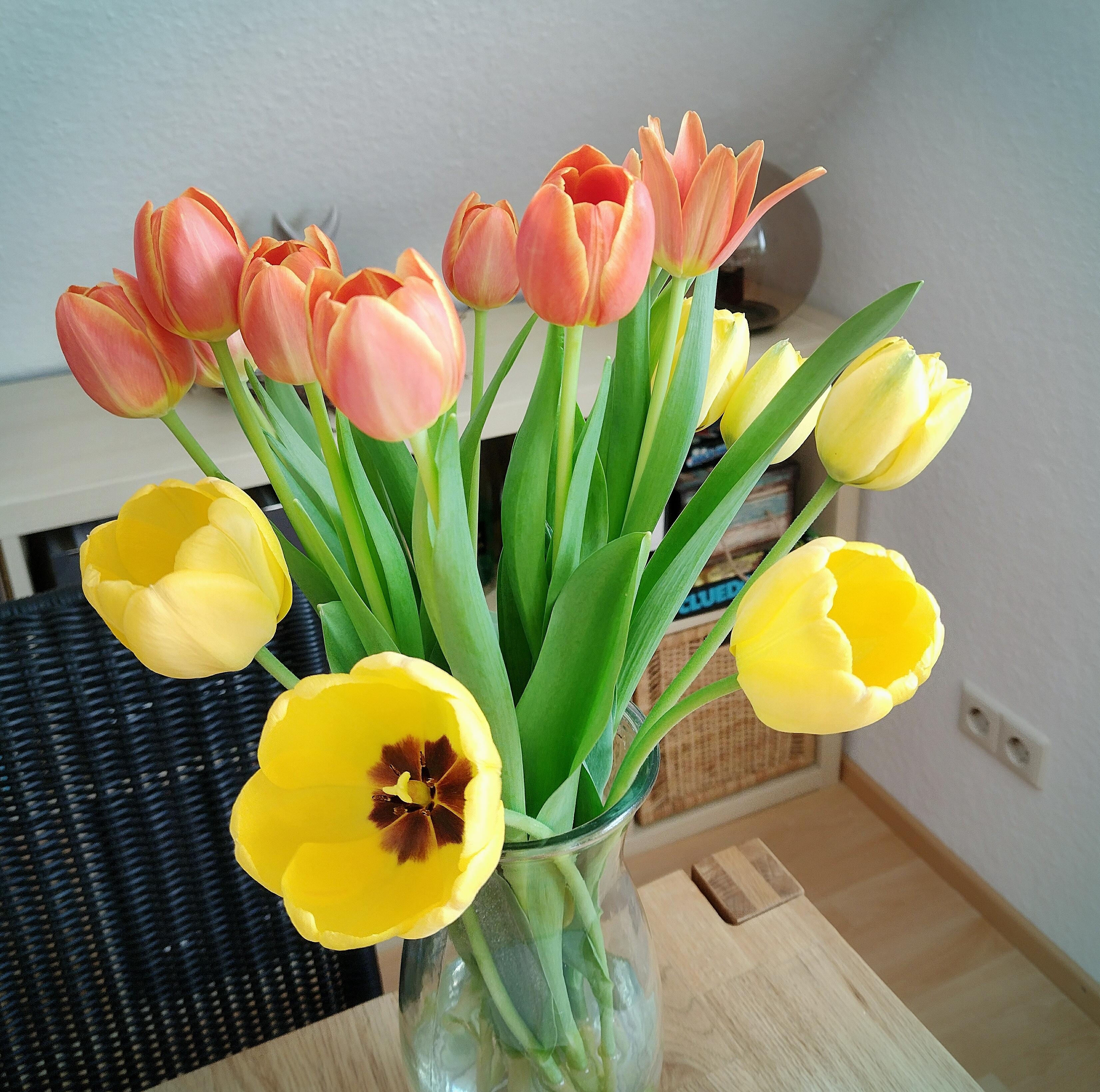 #tulpen #tulpenliebe #frischeblumen #frühling