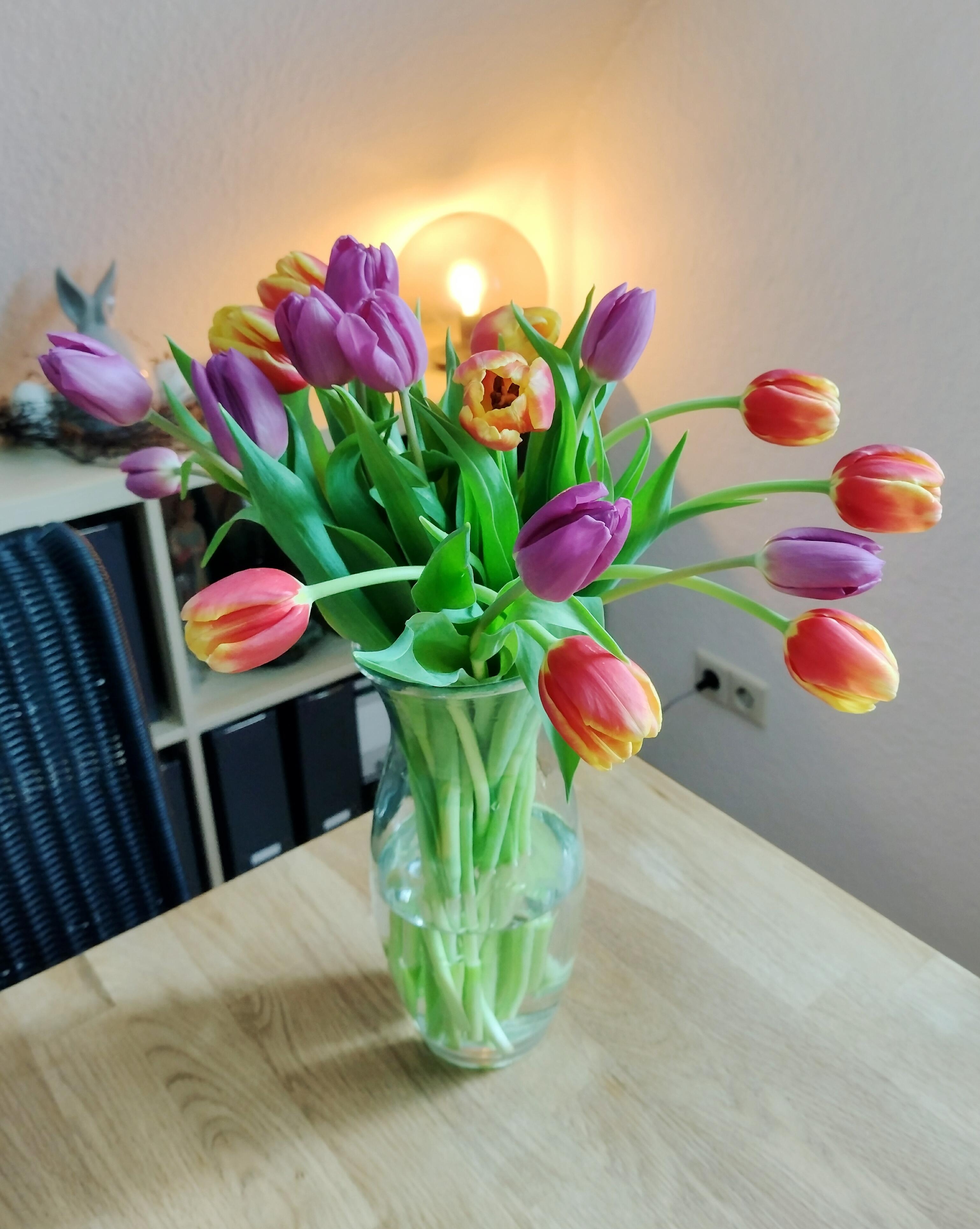#tulpen #tulpenliebe #vase #glasvase #lampe #licht #frischeblumen