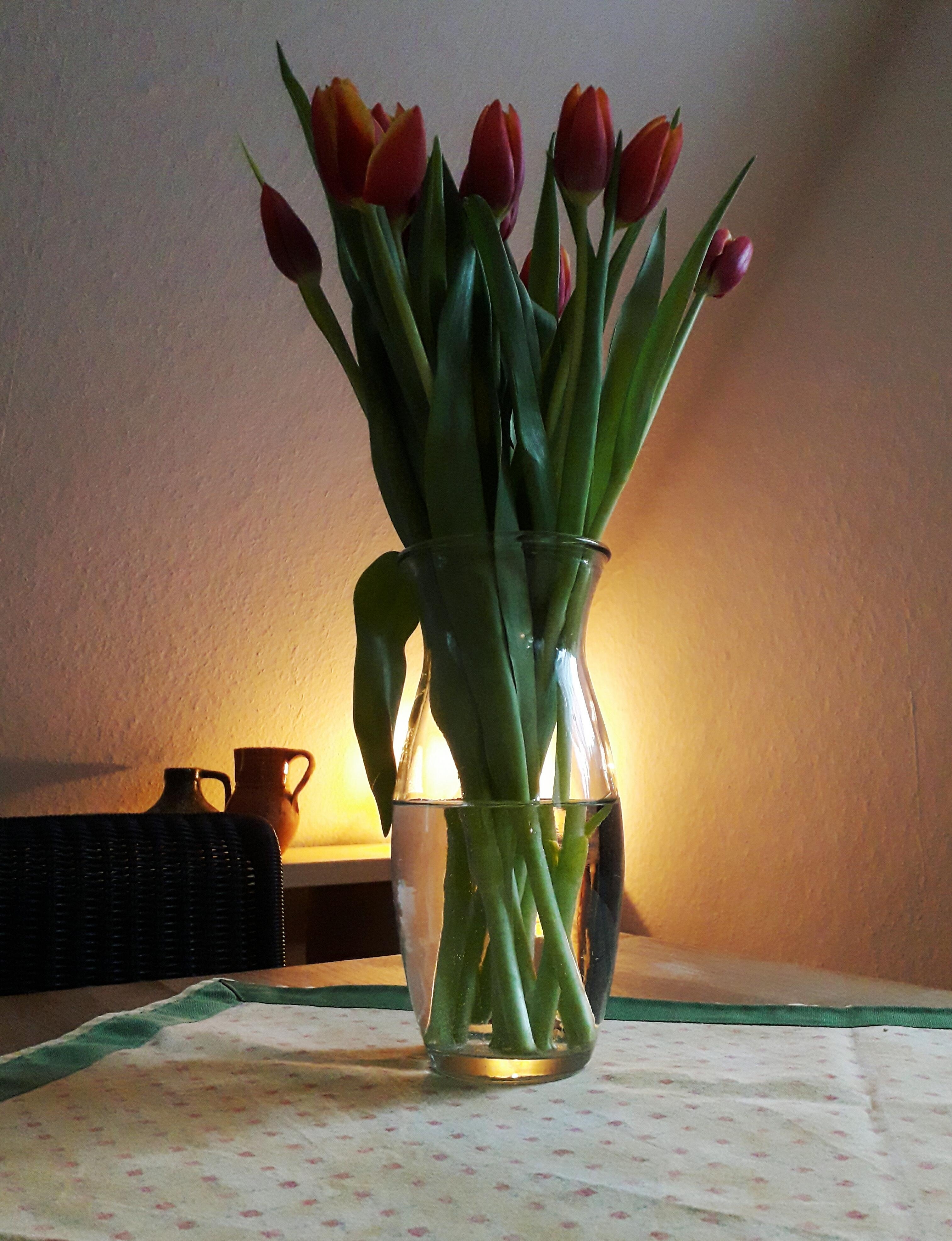 #Tulpen #Vase #Esstisch #Licht