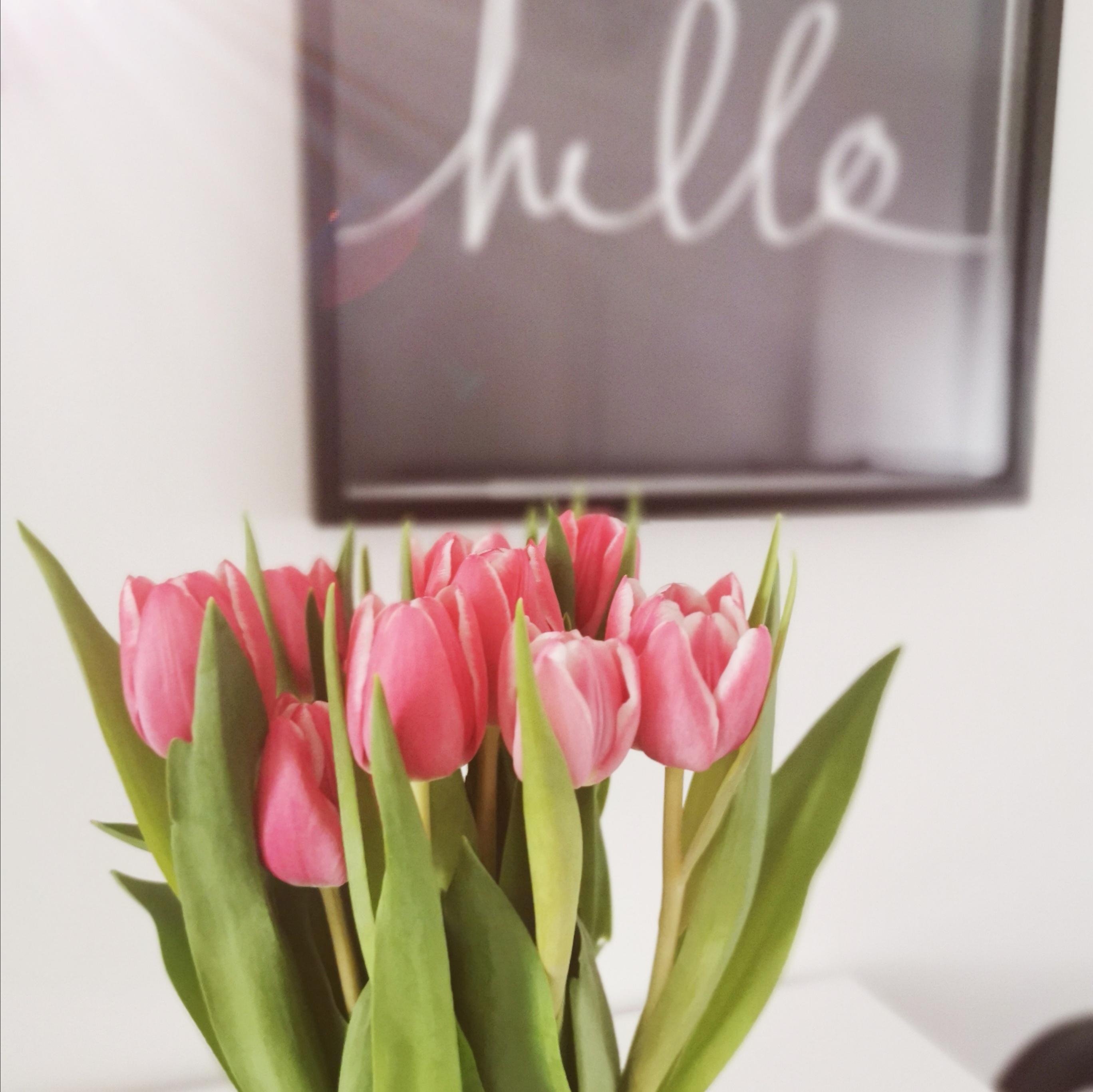 #Tulpen #Zuhause #Spring 