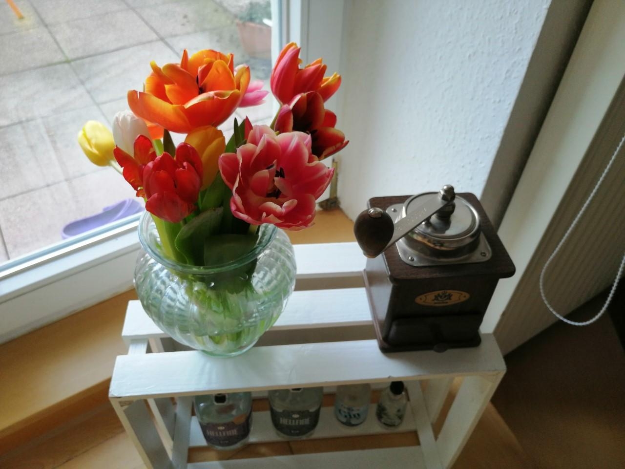 #Tulpen#Kaffee#spring#stayathome