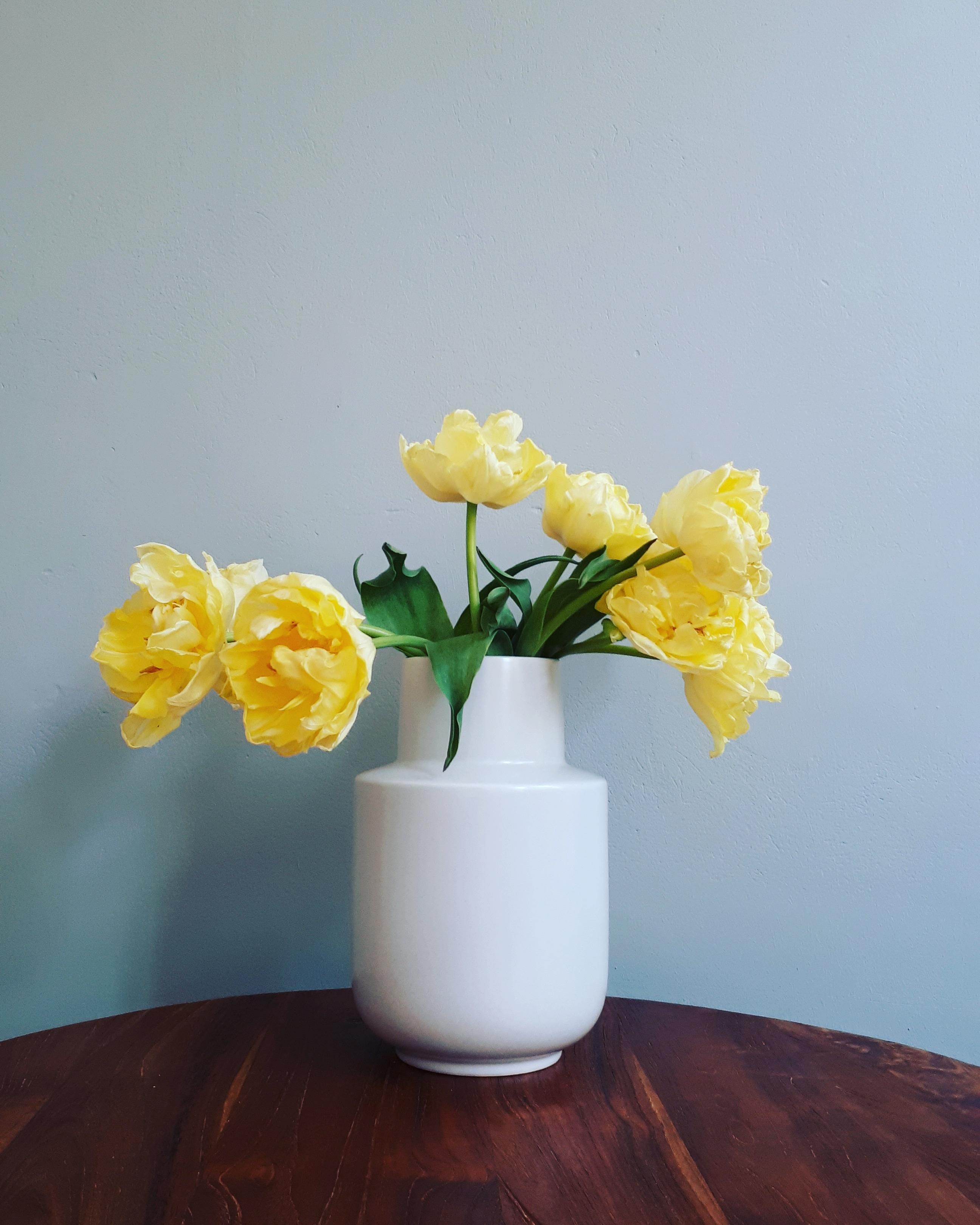 Tulpenliebe 💛 #flowerfriday #blumen #altbau #tulpen #wohnzimmer #frühling 
