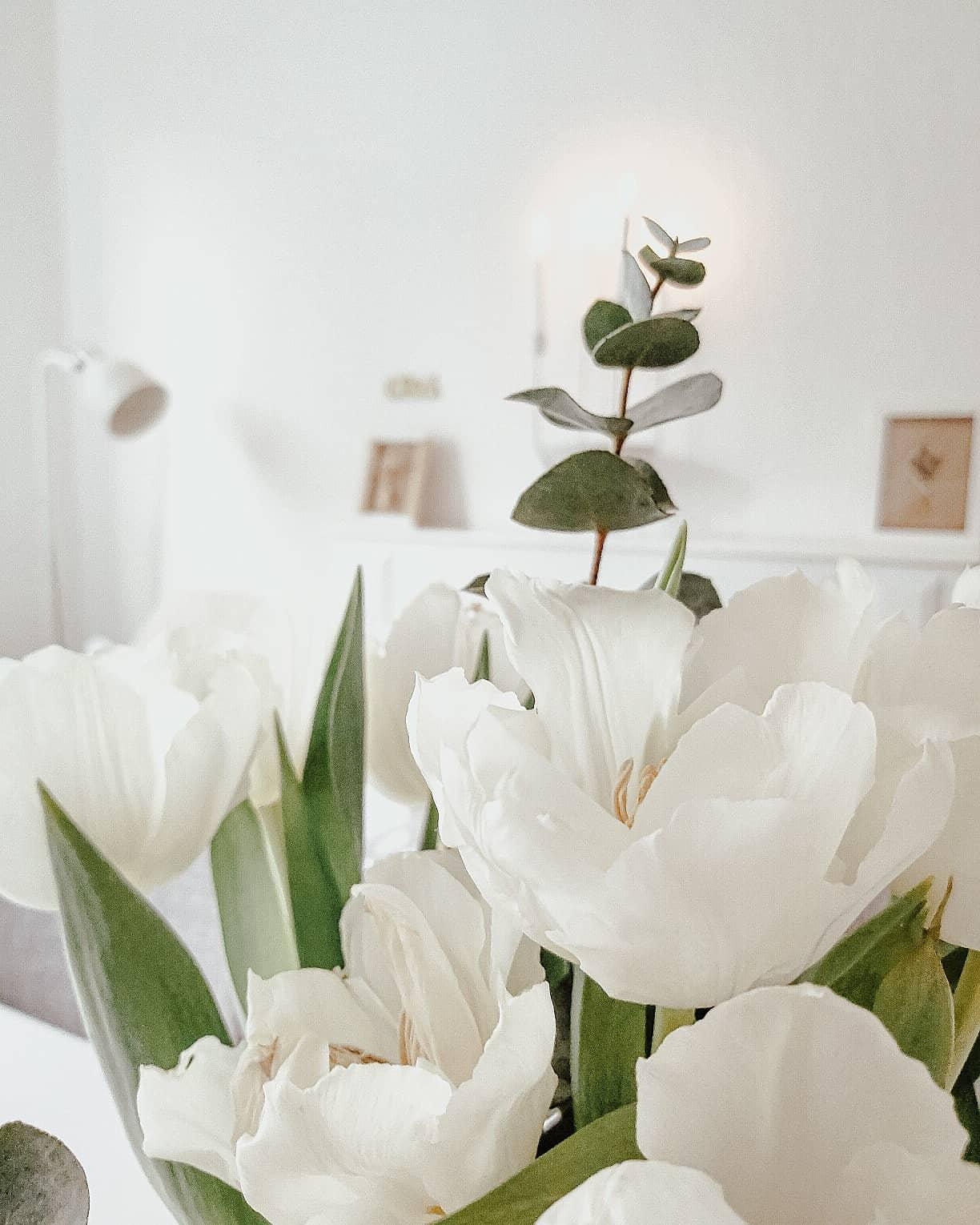 Tulpenliebe- Startet gut in die neue Woche! 🤍 #skandinavischwohnen #whiteliving #freshflowers #blütenzauber #couchliebt