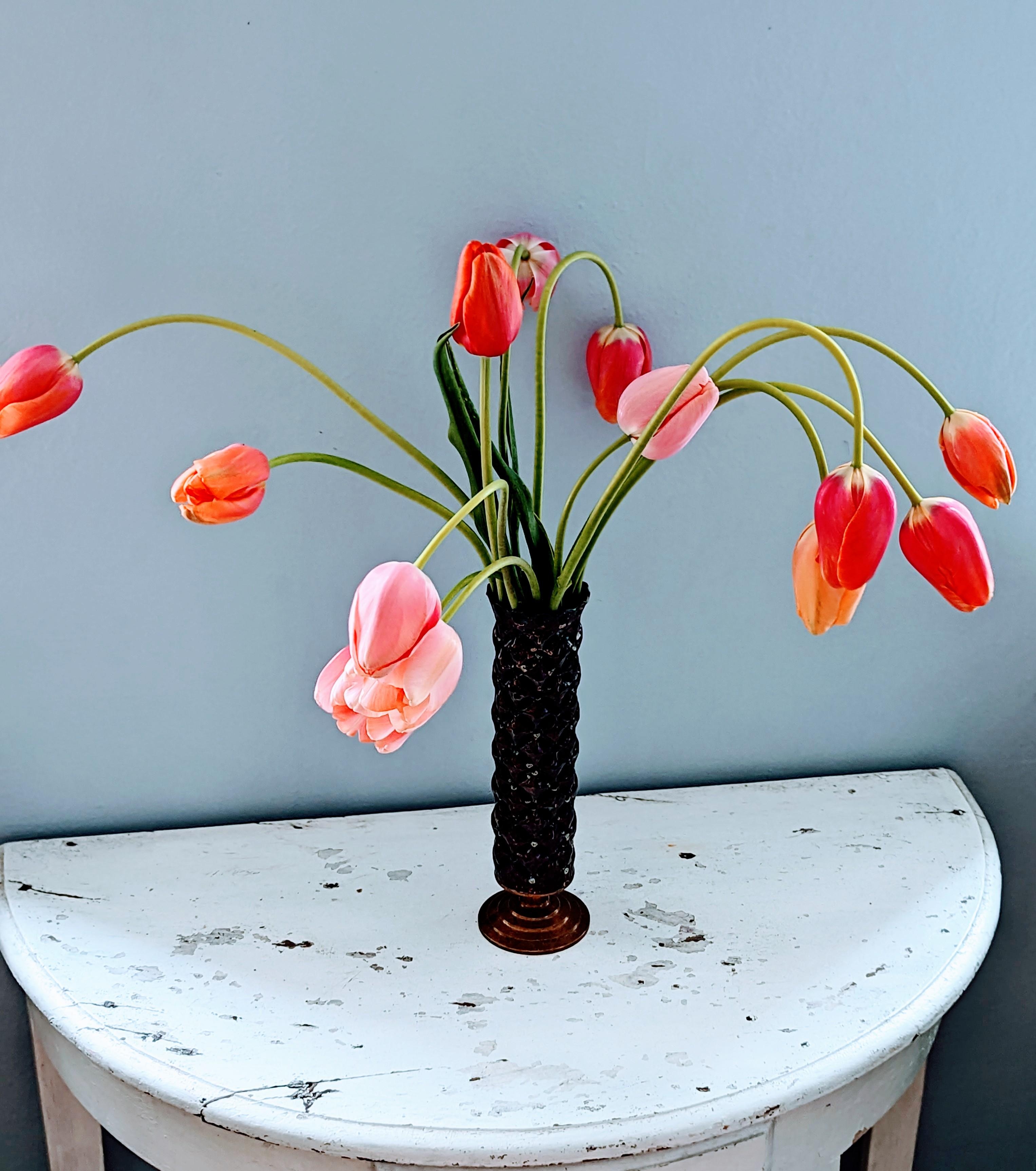 Tulpenliebe #Tulpen  #Frühling #colourful #Blumen