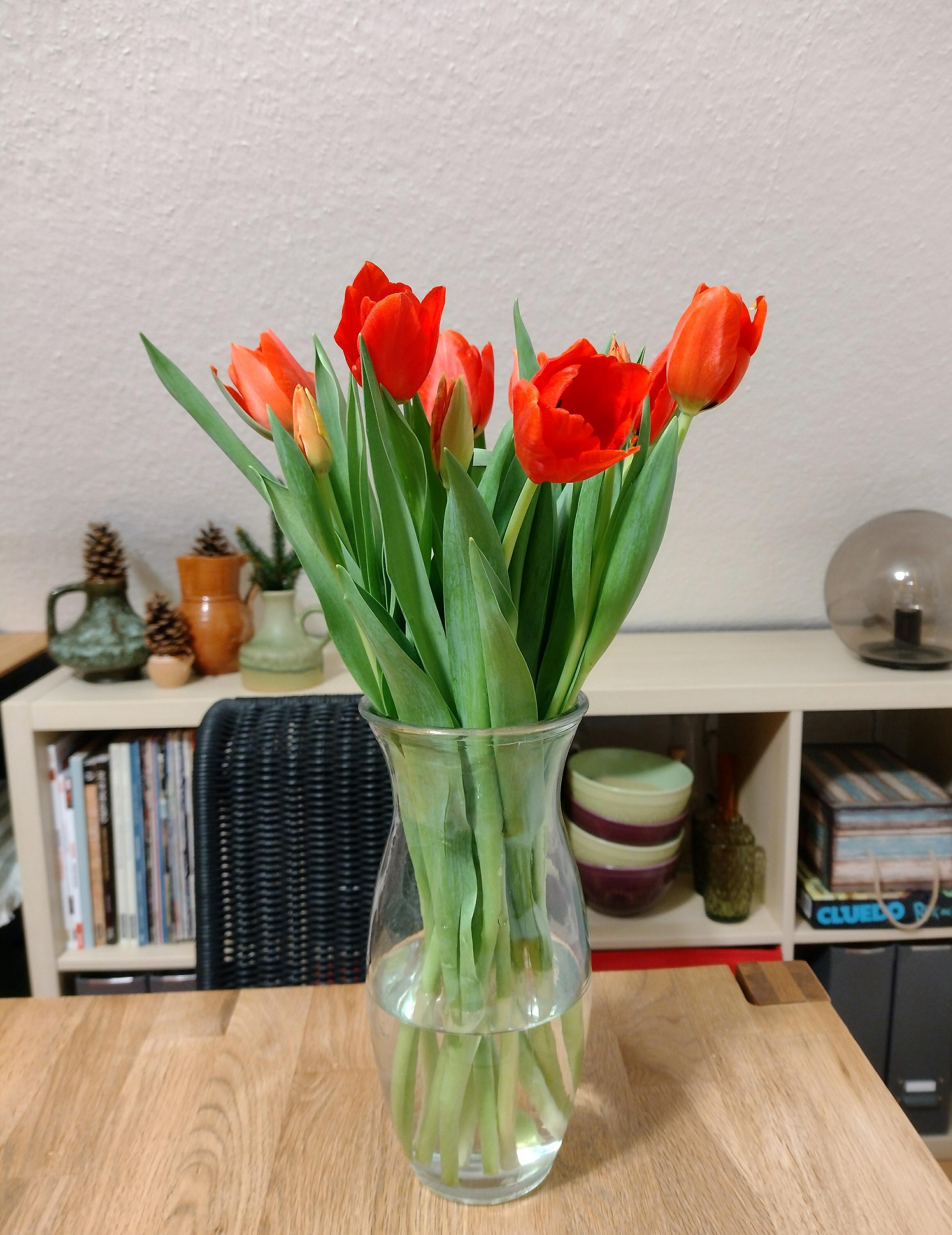 Tulpenliebe 
#tulpen #glasvase #blumenliebe #freshflowerfriday #frischeblumen