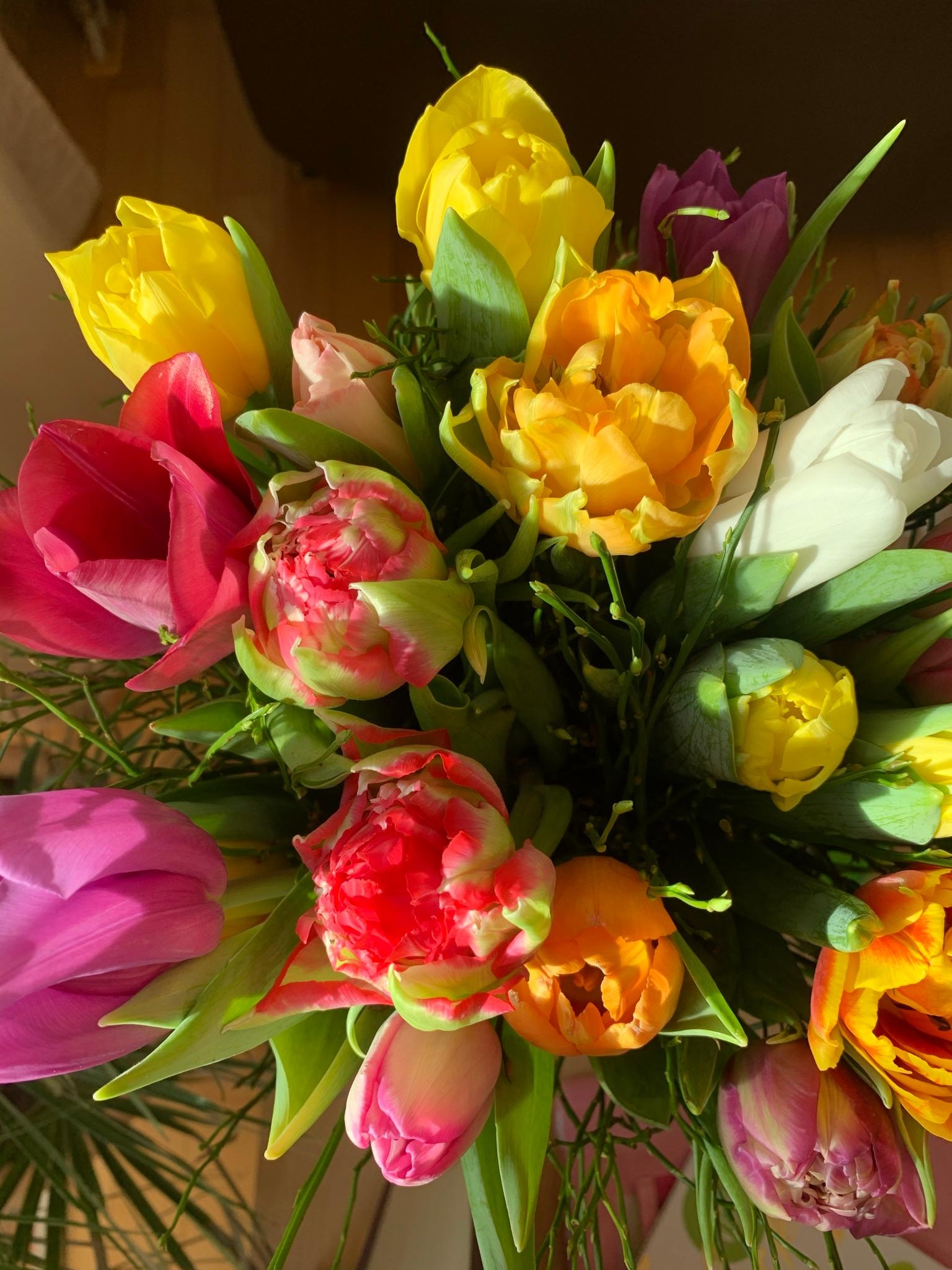 Tulpenliebe#flowers#colorful